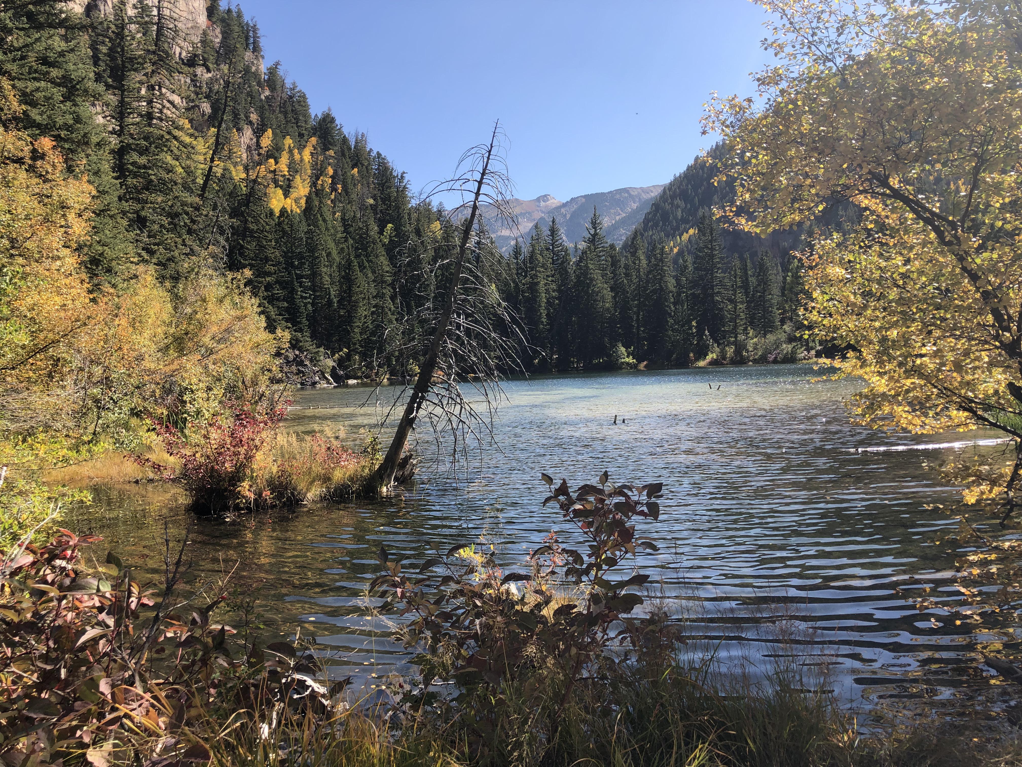 Lizard lake Carbondale, CO [OC][4032 x 3024] r/EarthPorn