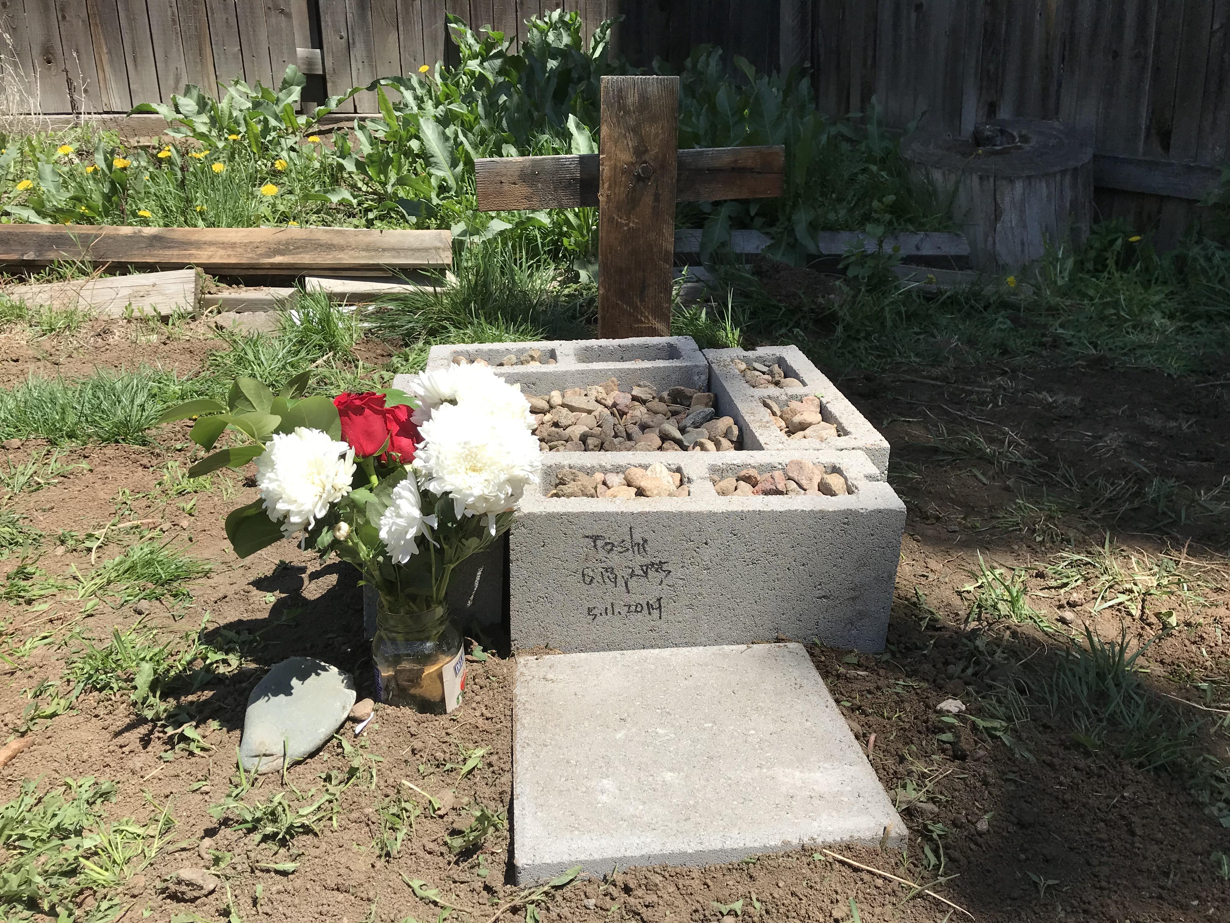 Grave for my dog r/pics