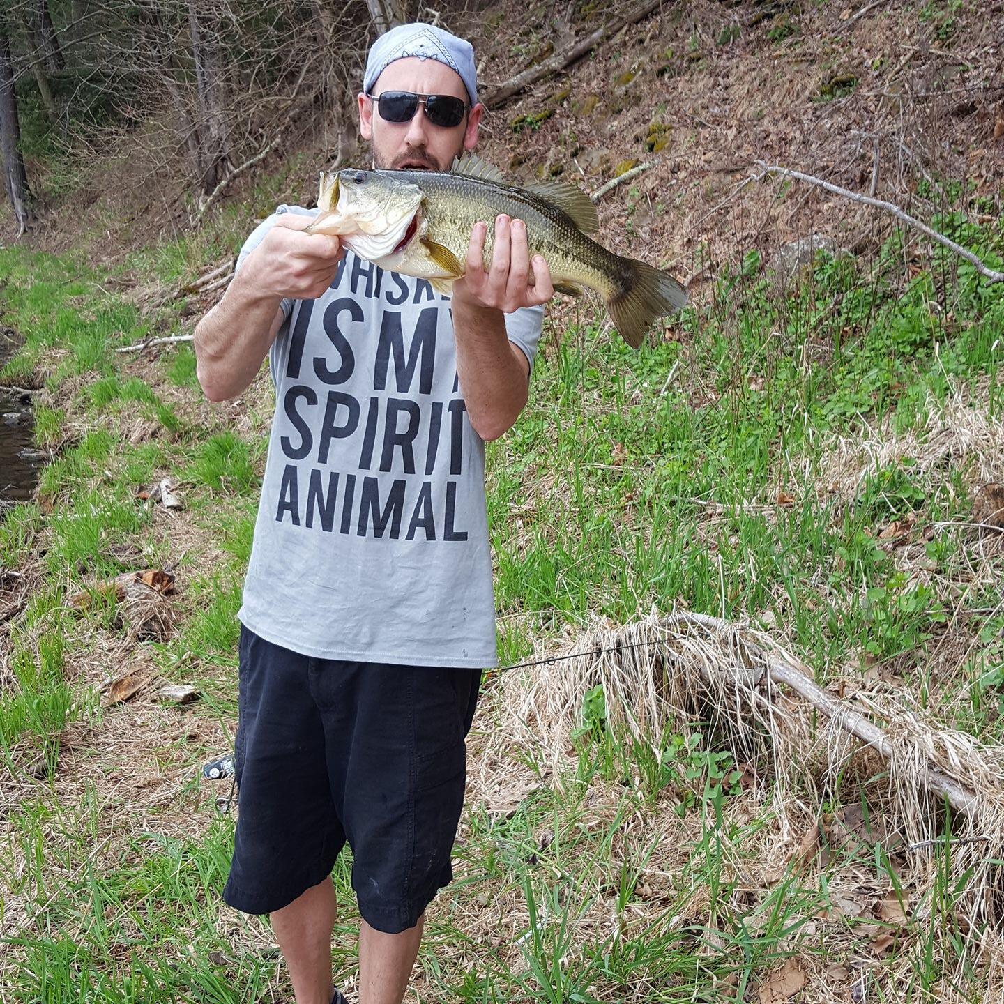 Nice large mouth I caught fishing in Kettle Creek State Park PA. r/bassfishing