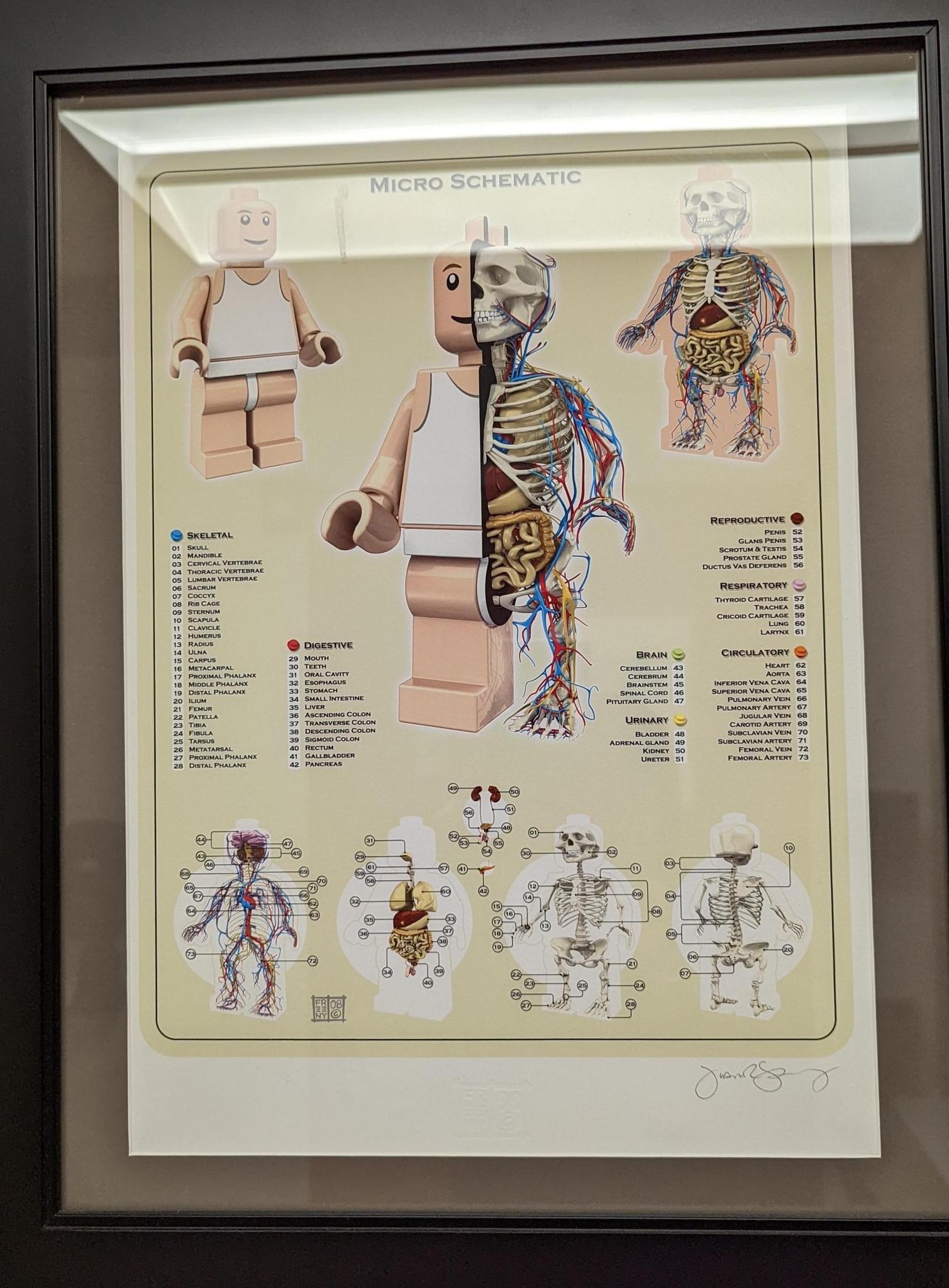 skridtlængde sigte musikkens lego anatomy Ruckus dokumentarfilm tone