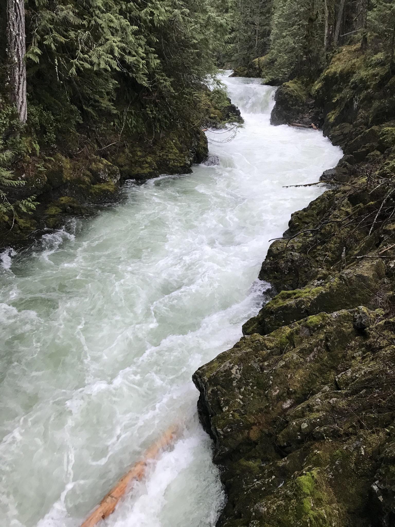 Little Qualicum Falls Provincial Park, BC [OC] [3024 X 4032] r/EarthPorn