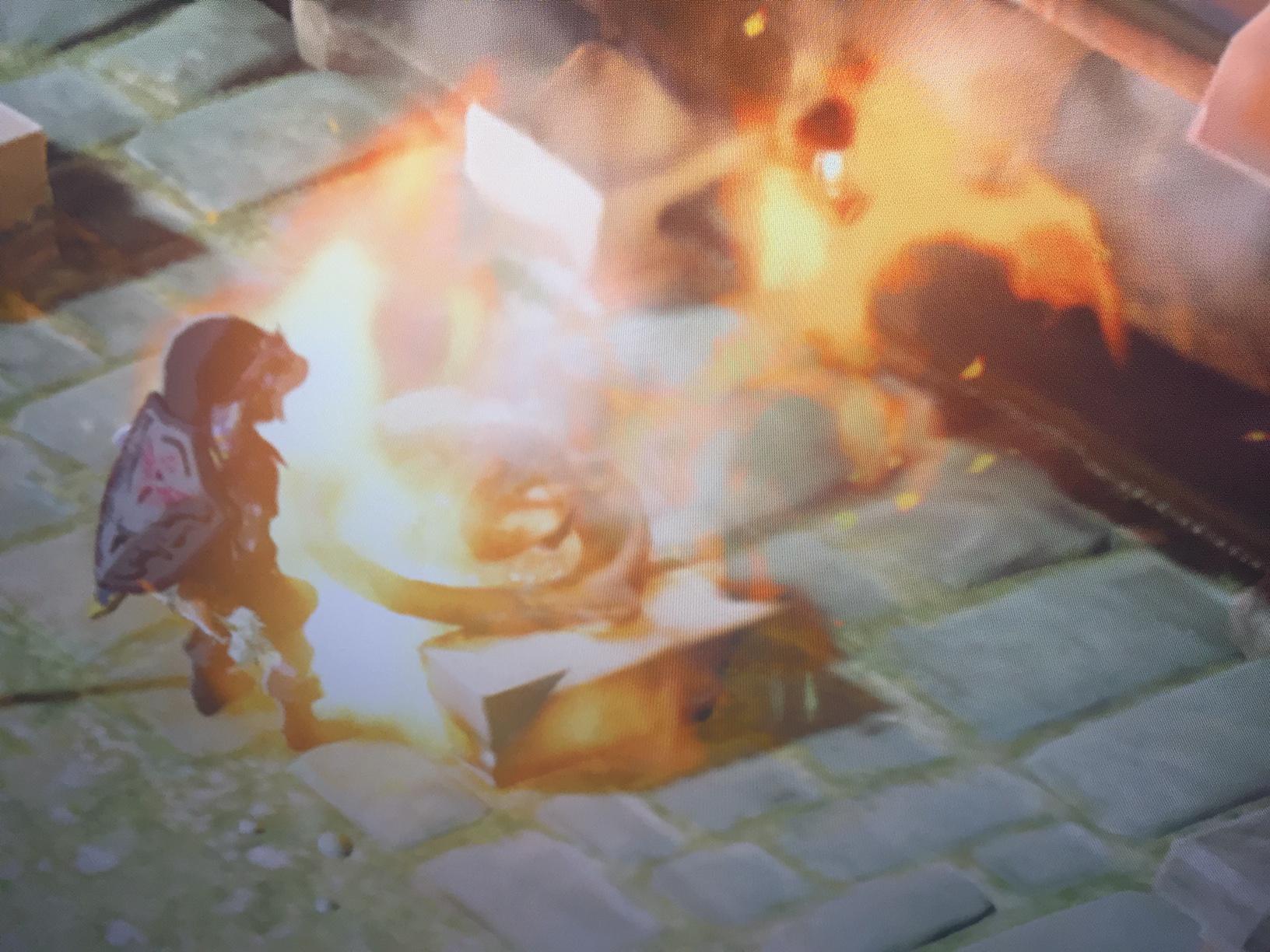 My dish caught fire!!! r/botw