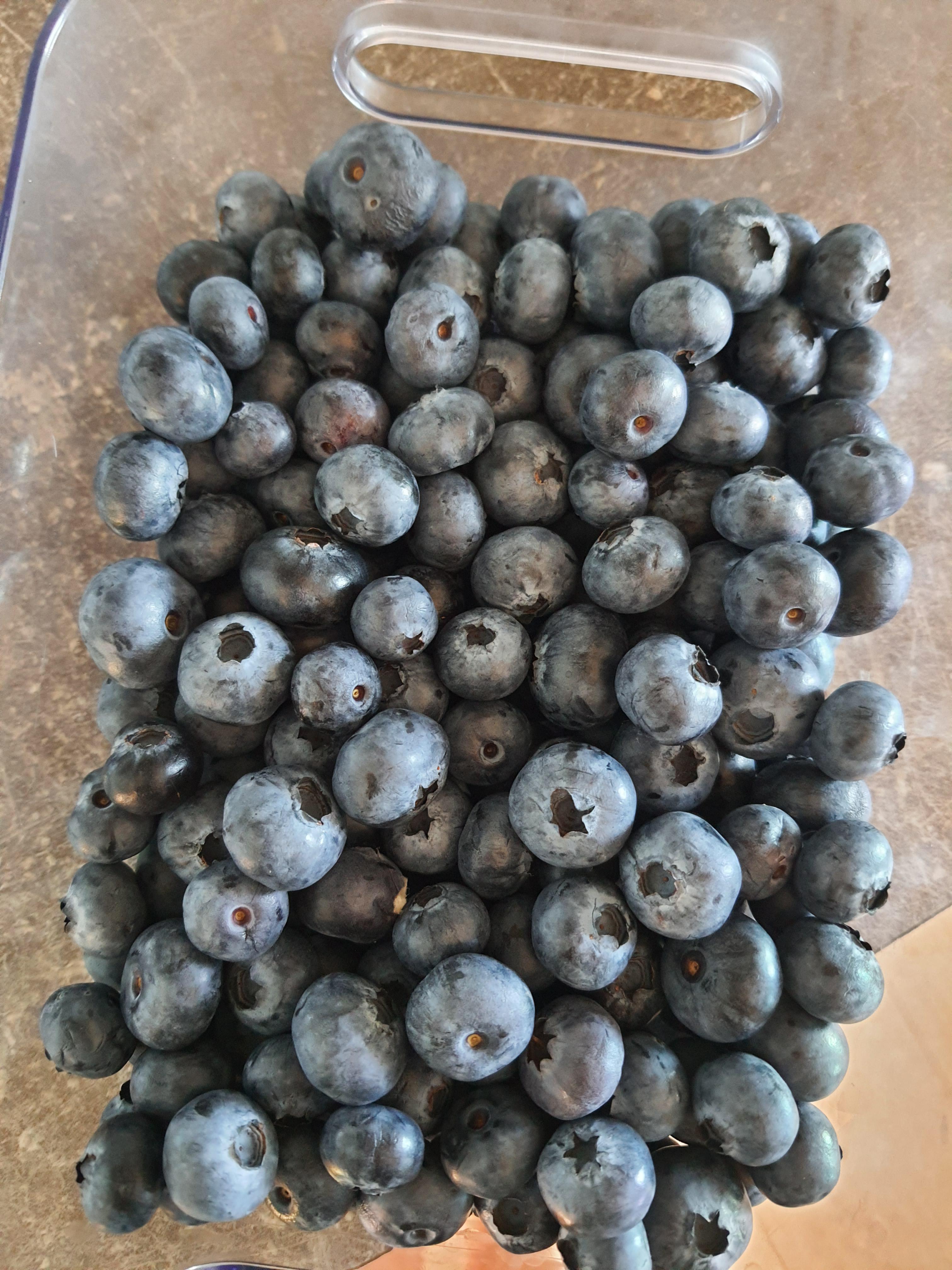 what to do with blueberries? dont want to just eat them, cause they