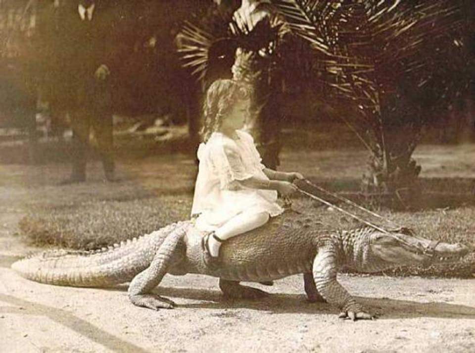 A child taking an alligator ride, 1920's r/OldSchoolCool