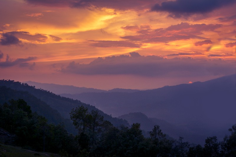 Sunset in Binsar, Uttrakhand. r/india