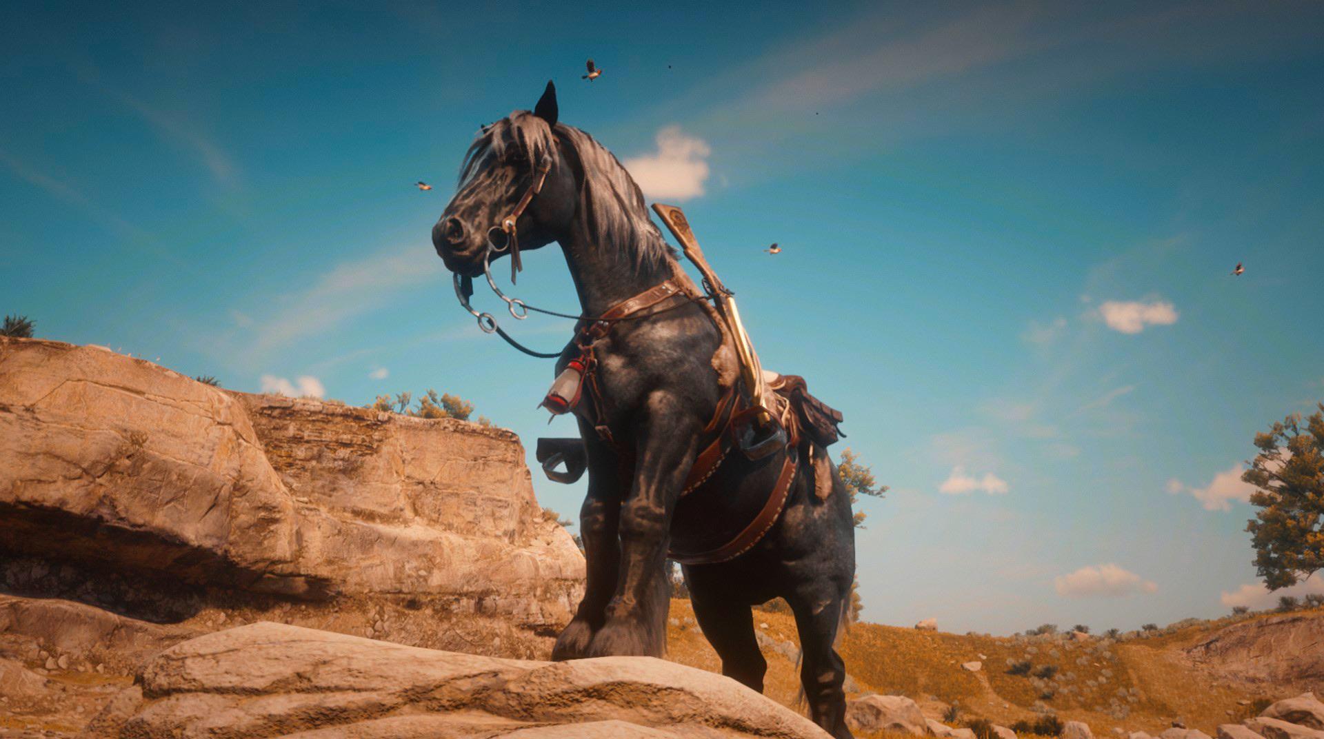 My steel grey breton,BenchD