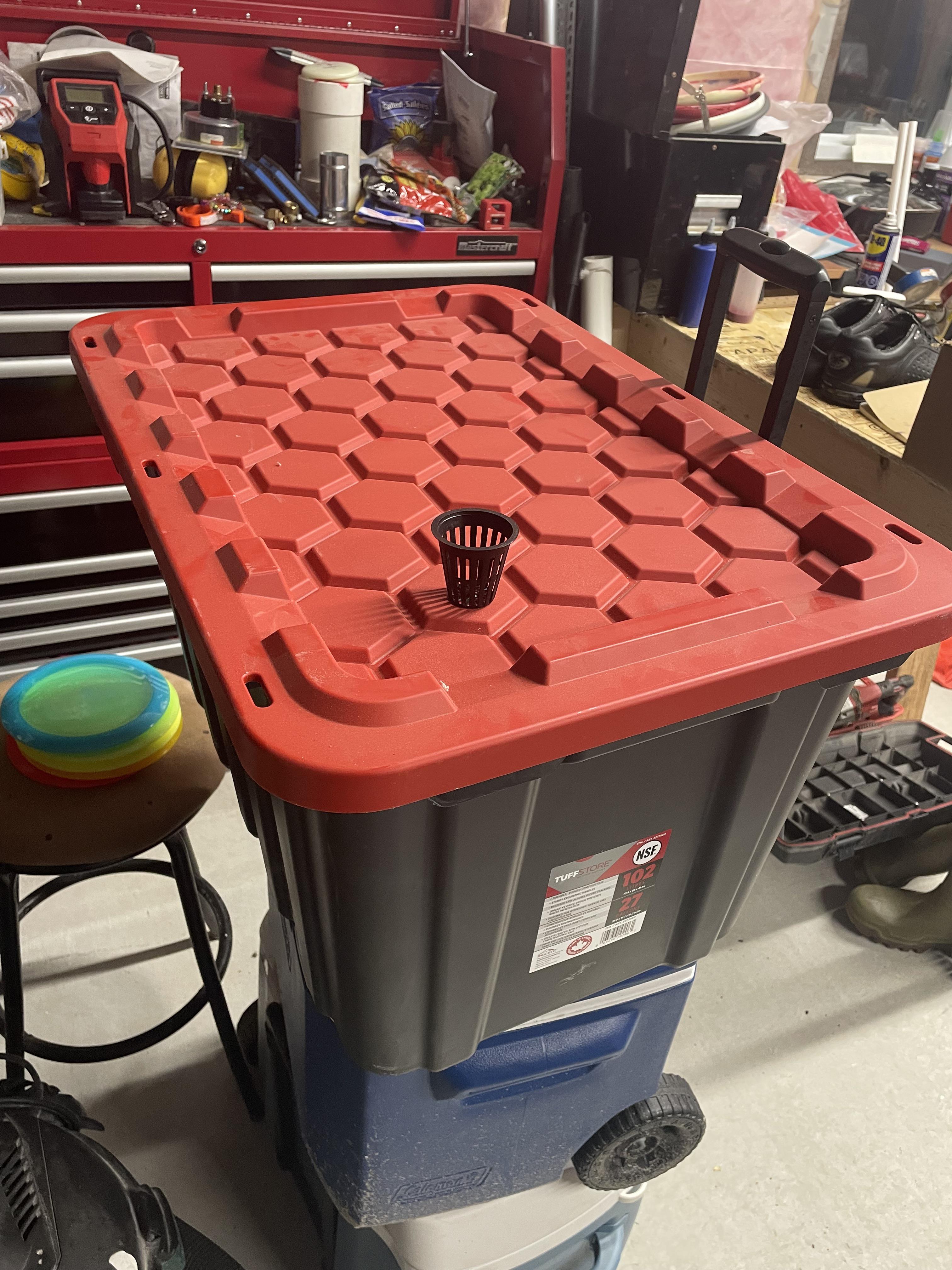 Ideal spacing for peppers in a 102L tote r/Hydroponics