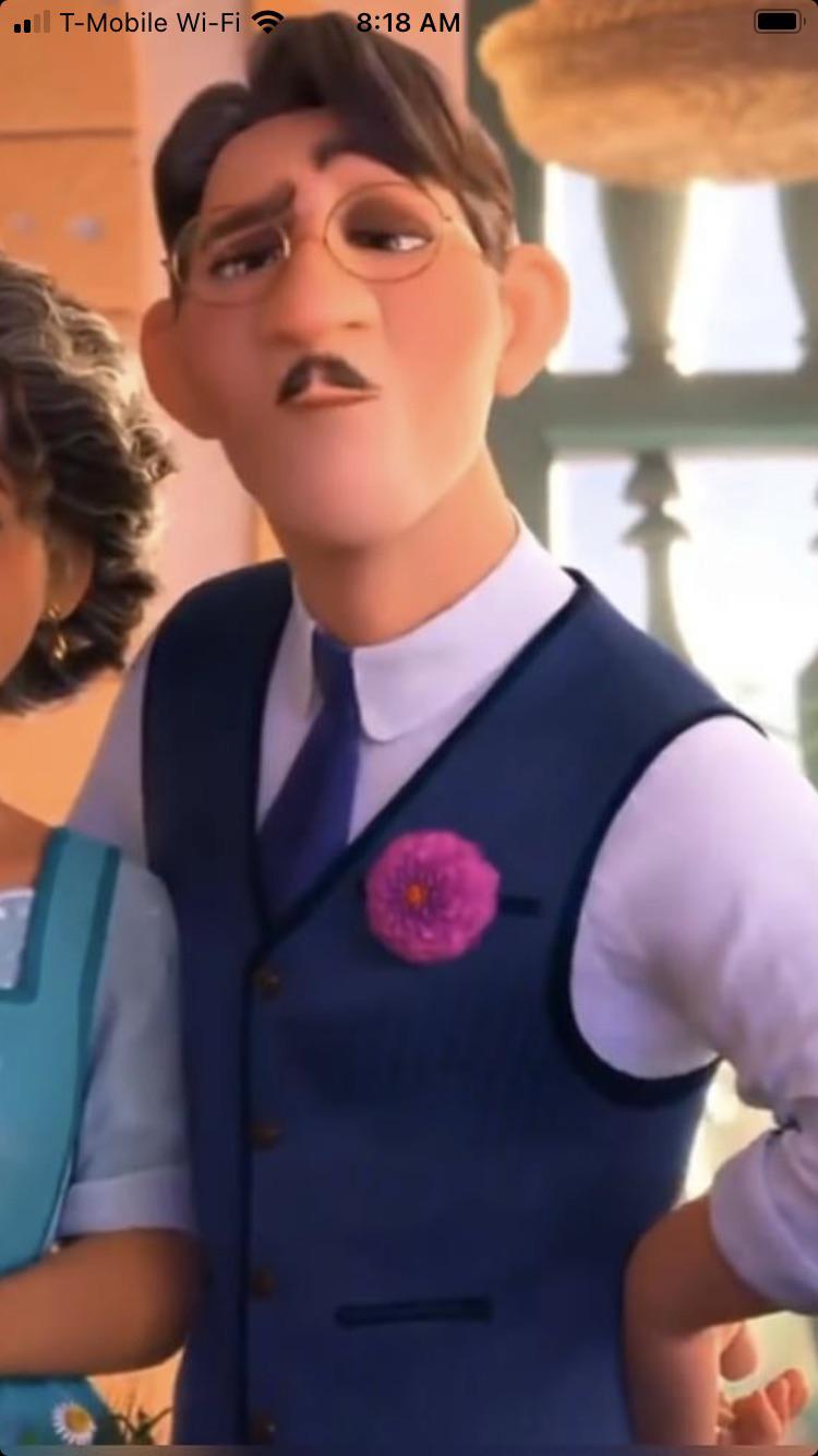Do we know the type of flower Agustín wears in his vest pocket? r/Encanto