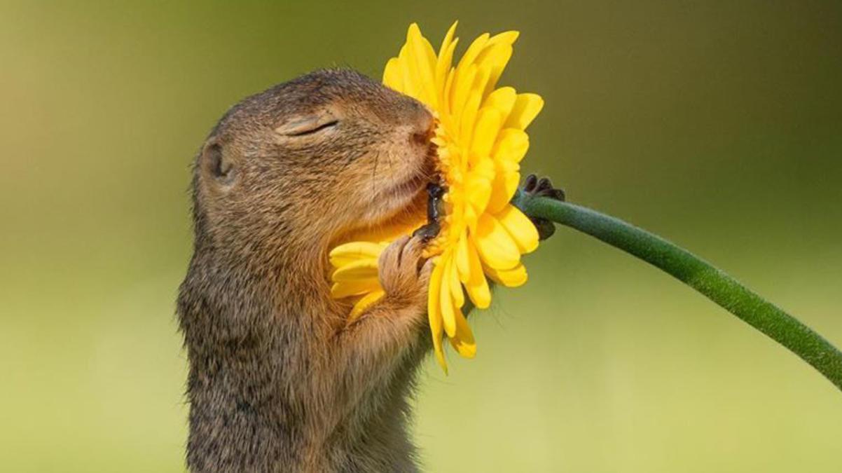 Always stop and smell the flowers r/MadeMeSmile