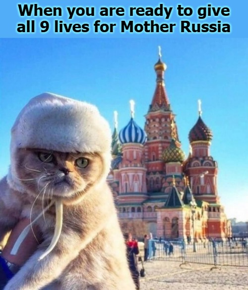 Babushka loves you r/memes