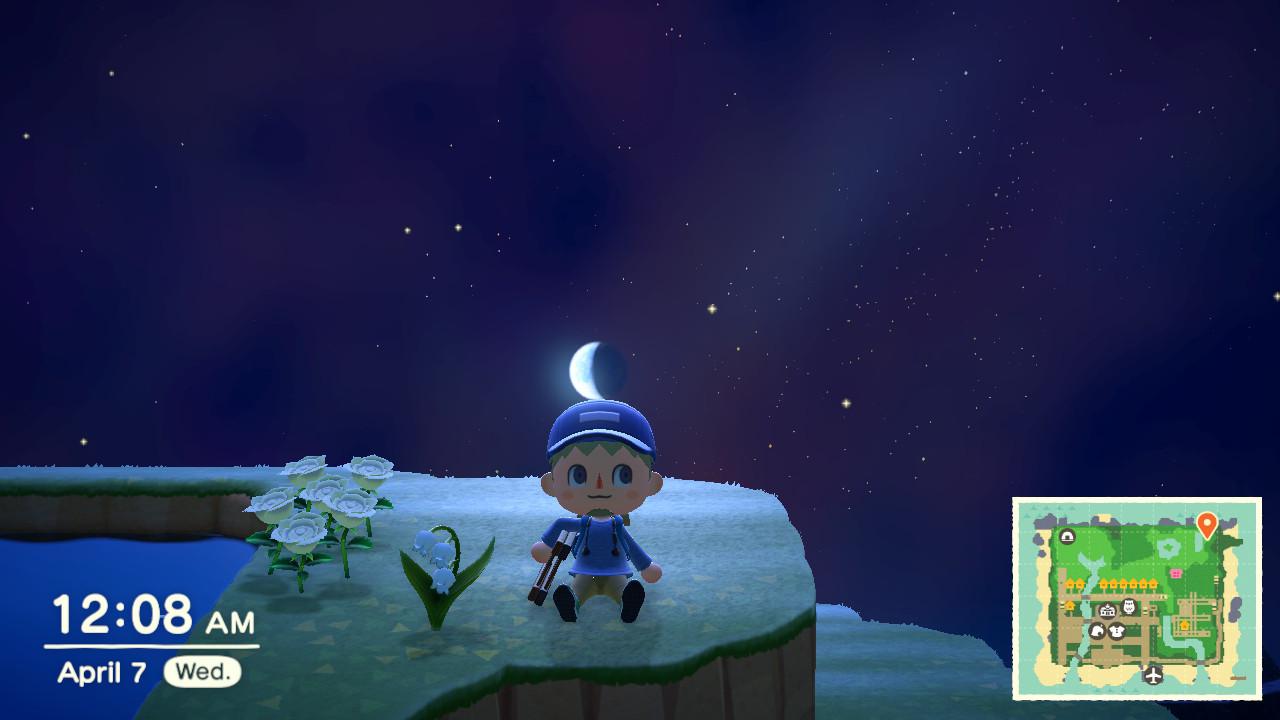 Found out my island finally made it to 5 star by finding the first of these flowers r/acnh