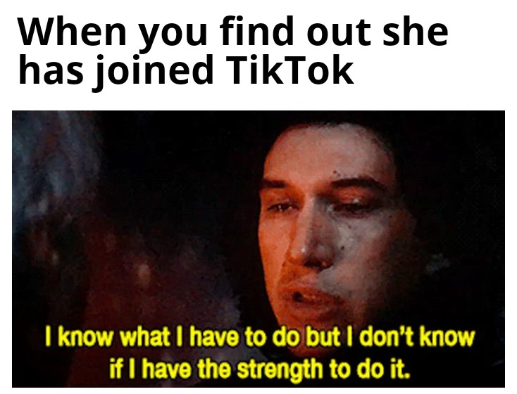 TikTok bad. Reddit good. I will do what I must. memes