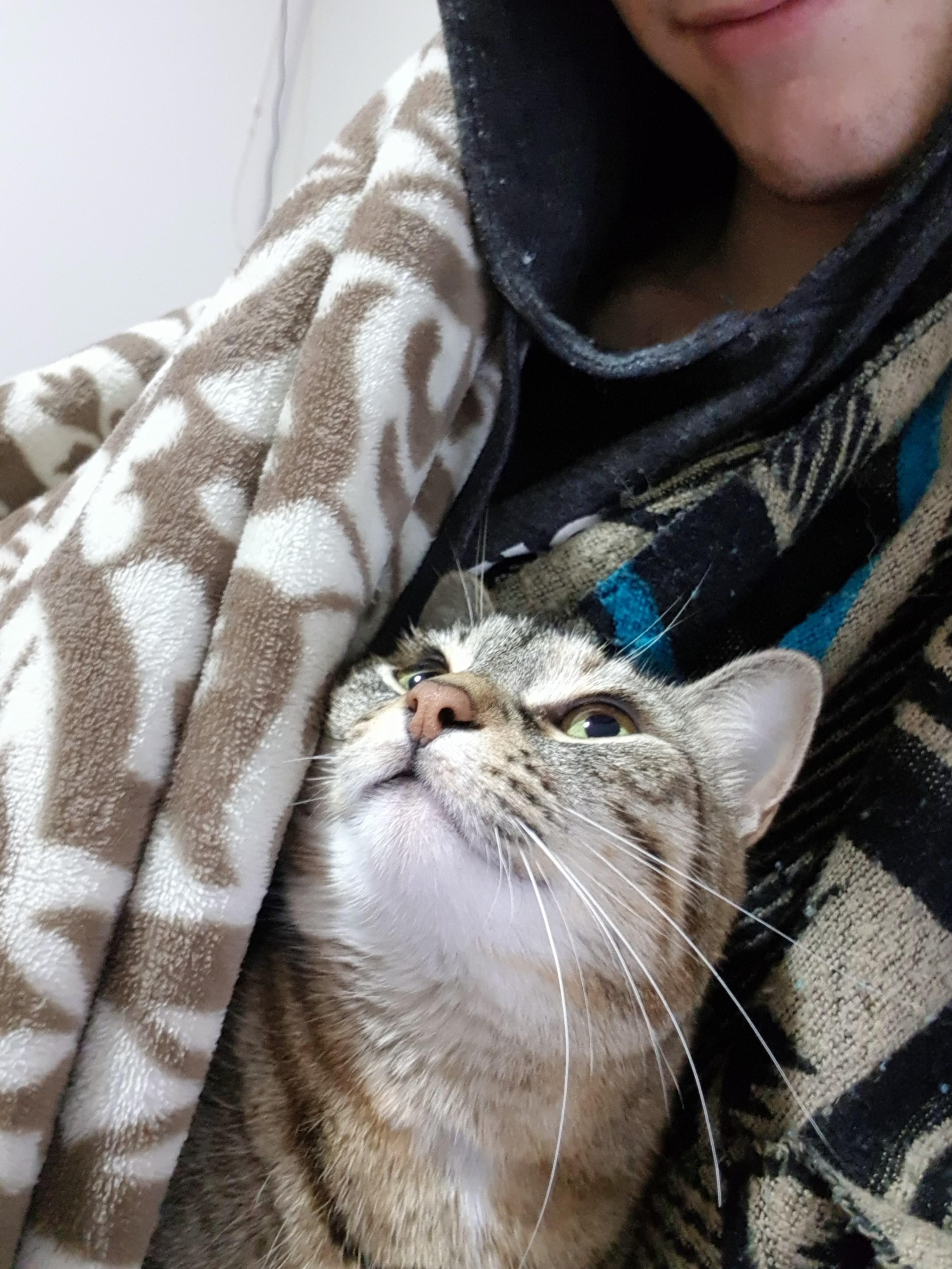 My little girl fell off the balcony some time last night and went missing. After hours and hours