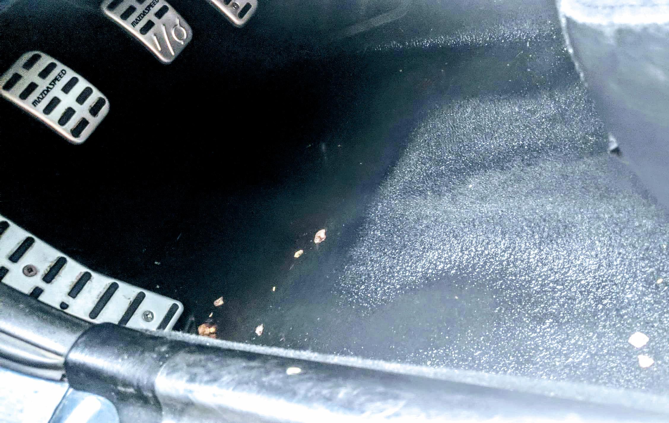 Miata got flooded overnight. I disconnected the battery this morning