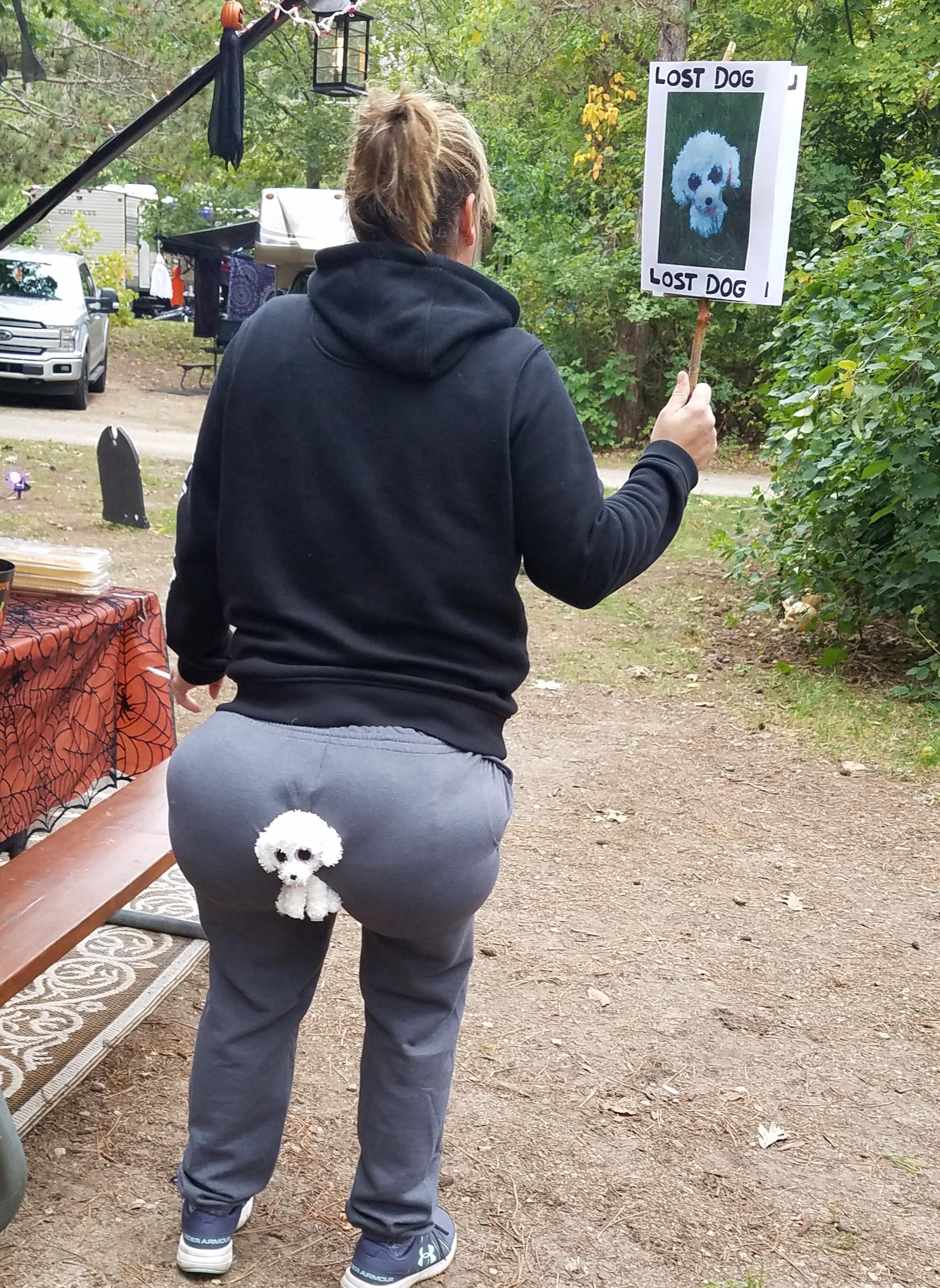 Lost dog, Halloween costume r/funny