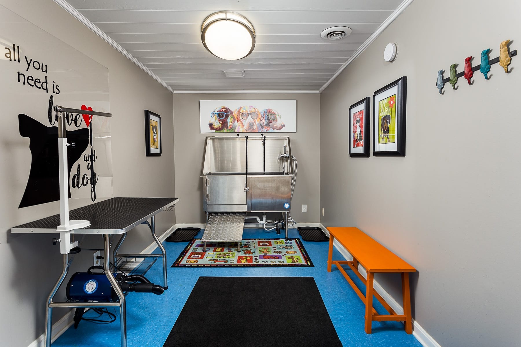 My new apartment that I'm moving to has their own dog grooming area for