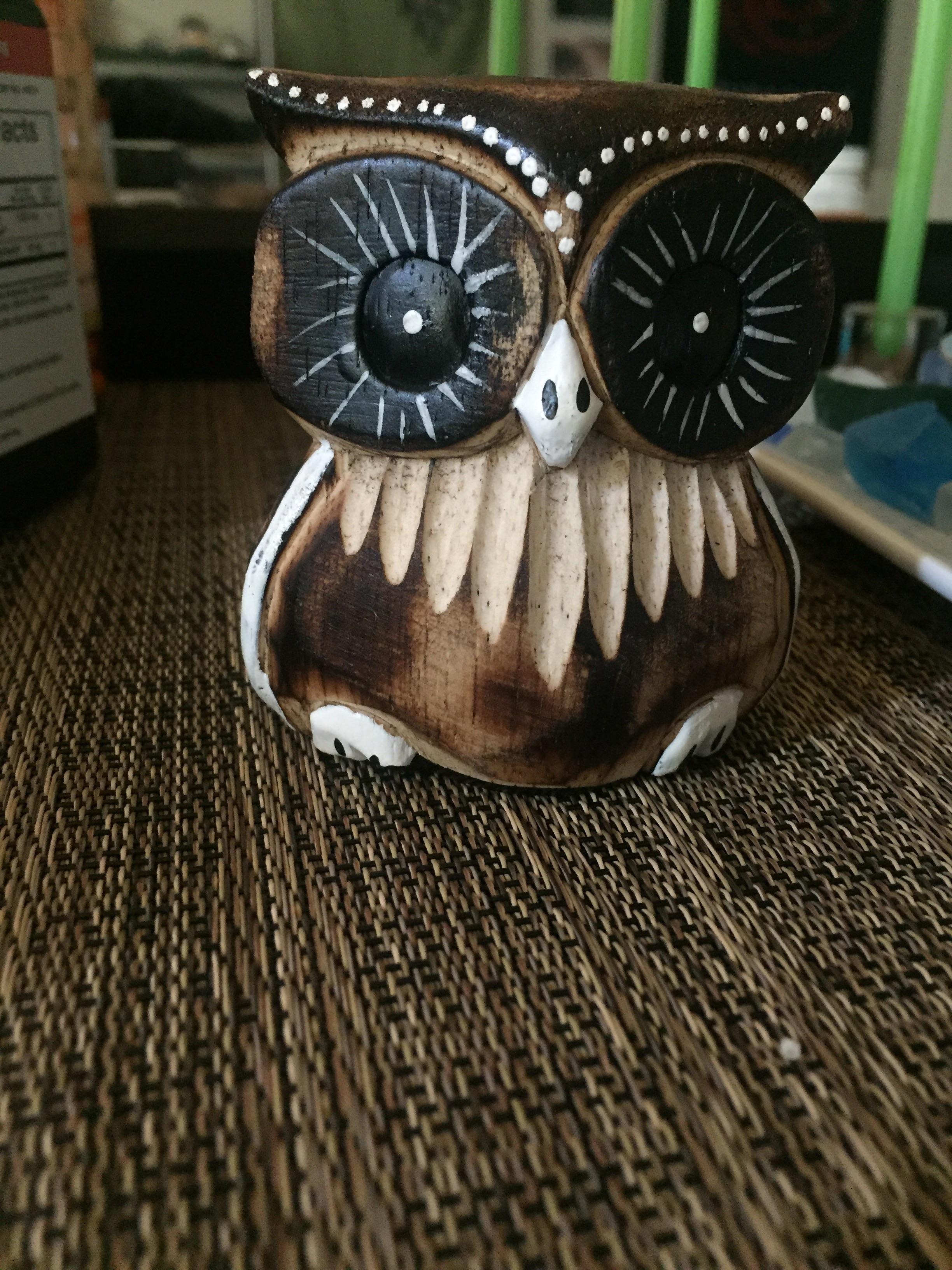 I can't legally own an owl, nor would I be able to afford one, so this