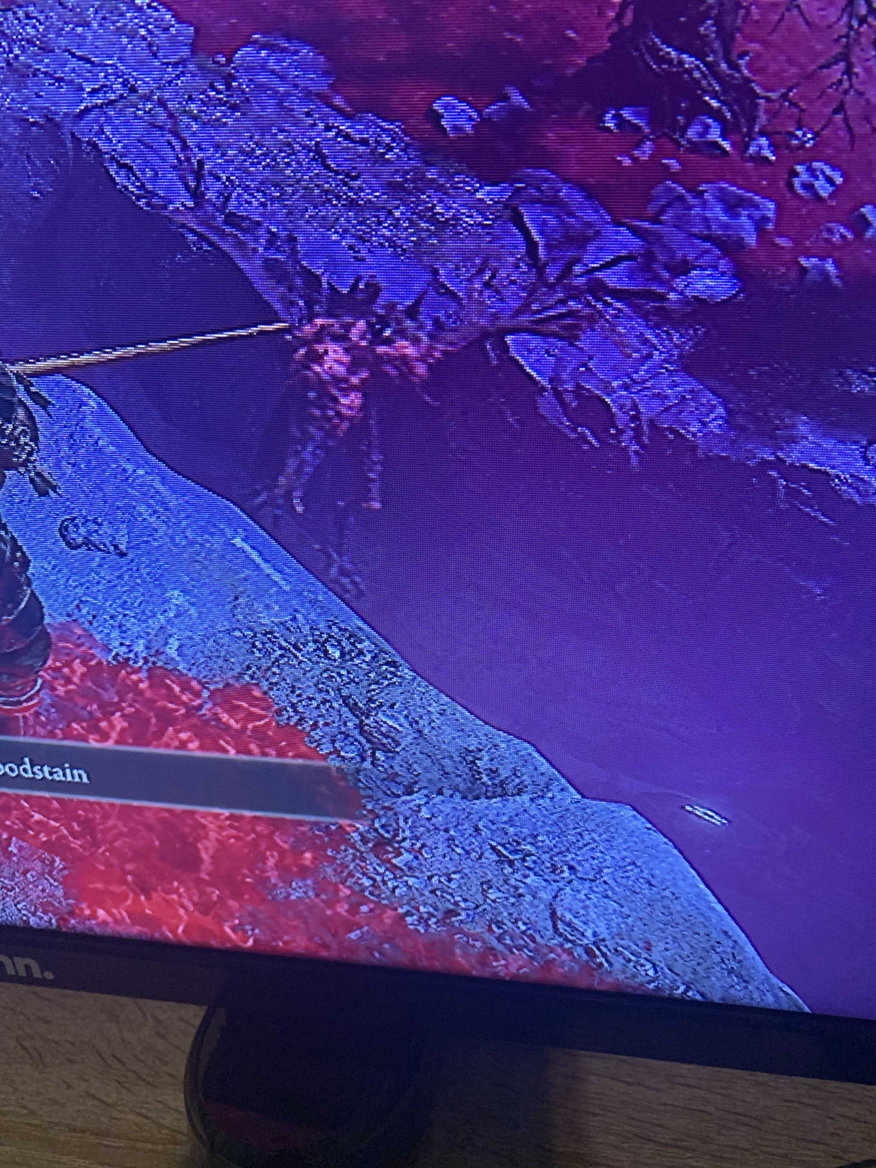 idiot bird falls off cliff r/Eldenring