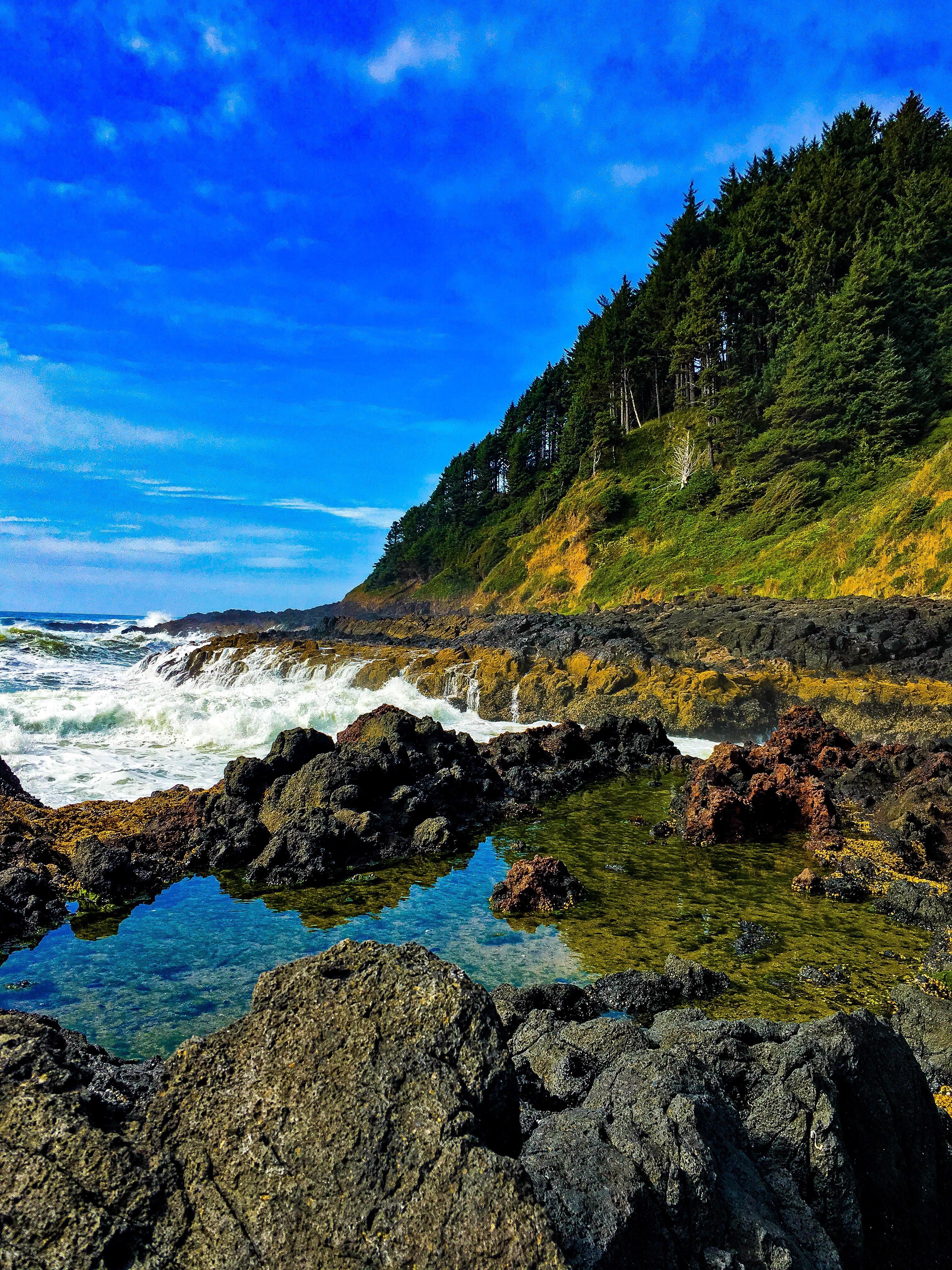 Reflecting on the Gem of the Oregon Coast [OC] 3024 x 4032 r