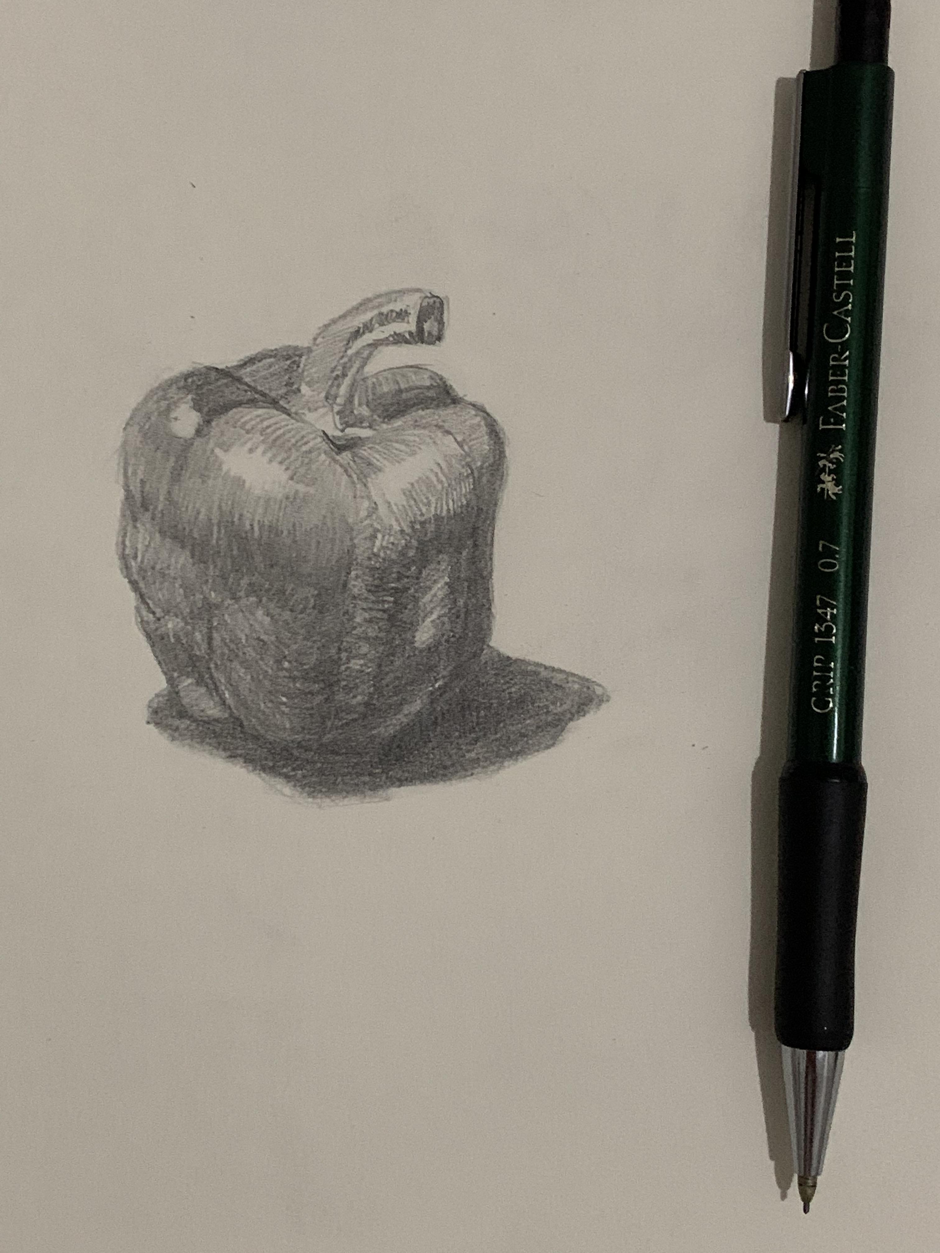 Mechanical pencil sketch r/learnart