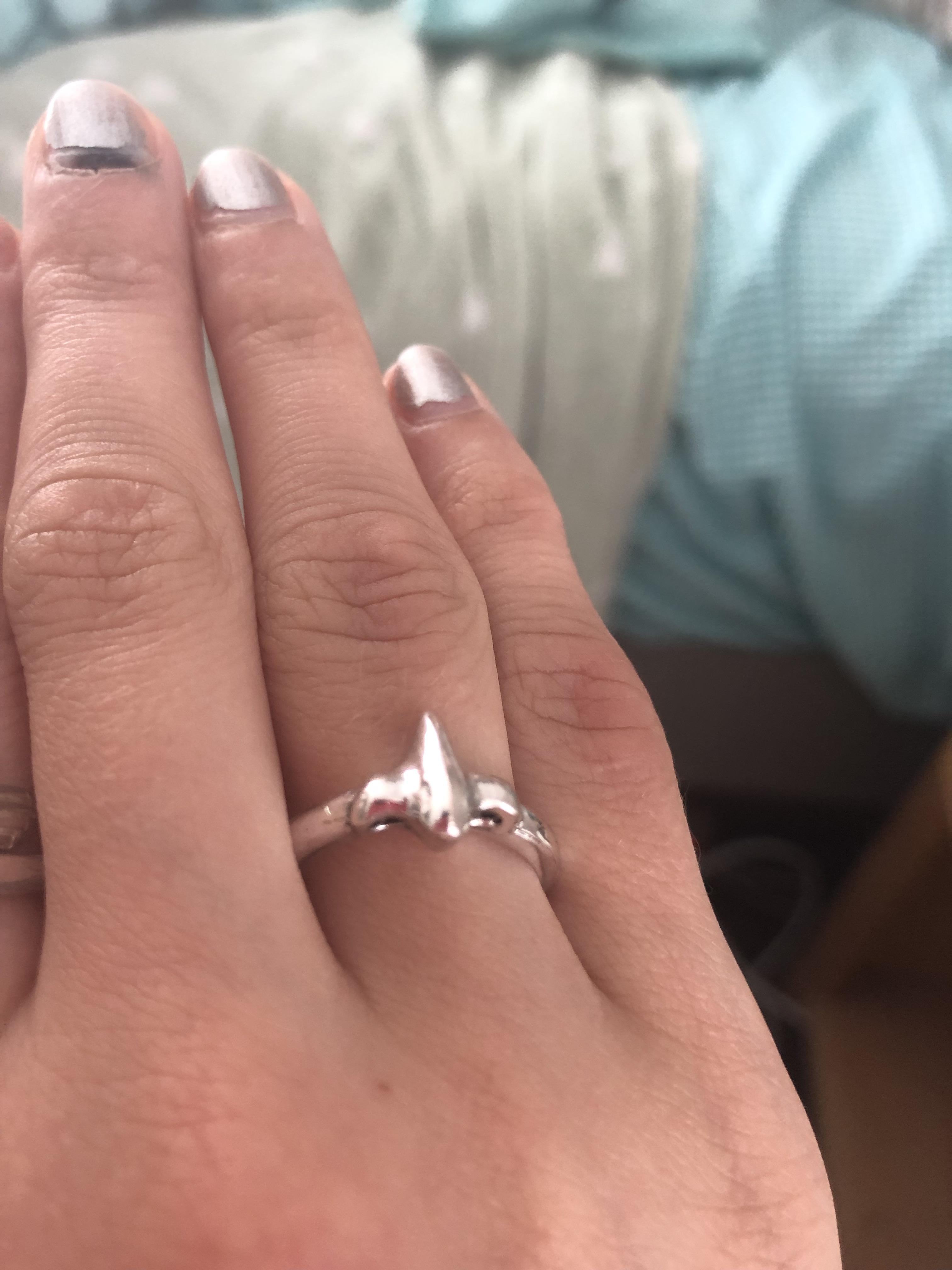 Got myself a new nose ring r/puns