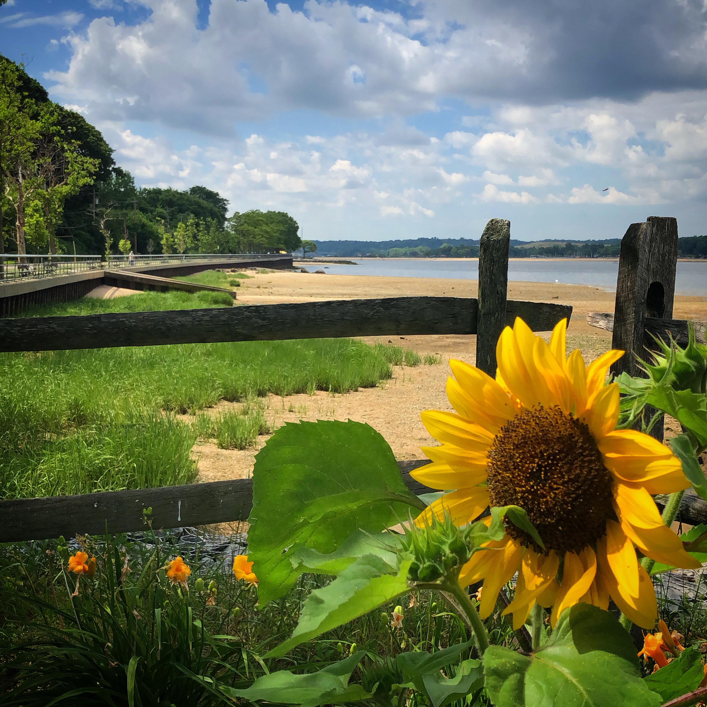 5 best Sea Cliff Ny images on Pholder By the beach in Sea Cliff, NY