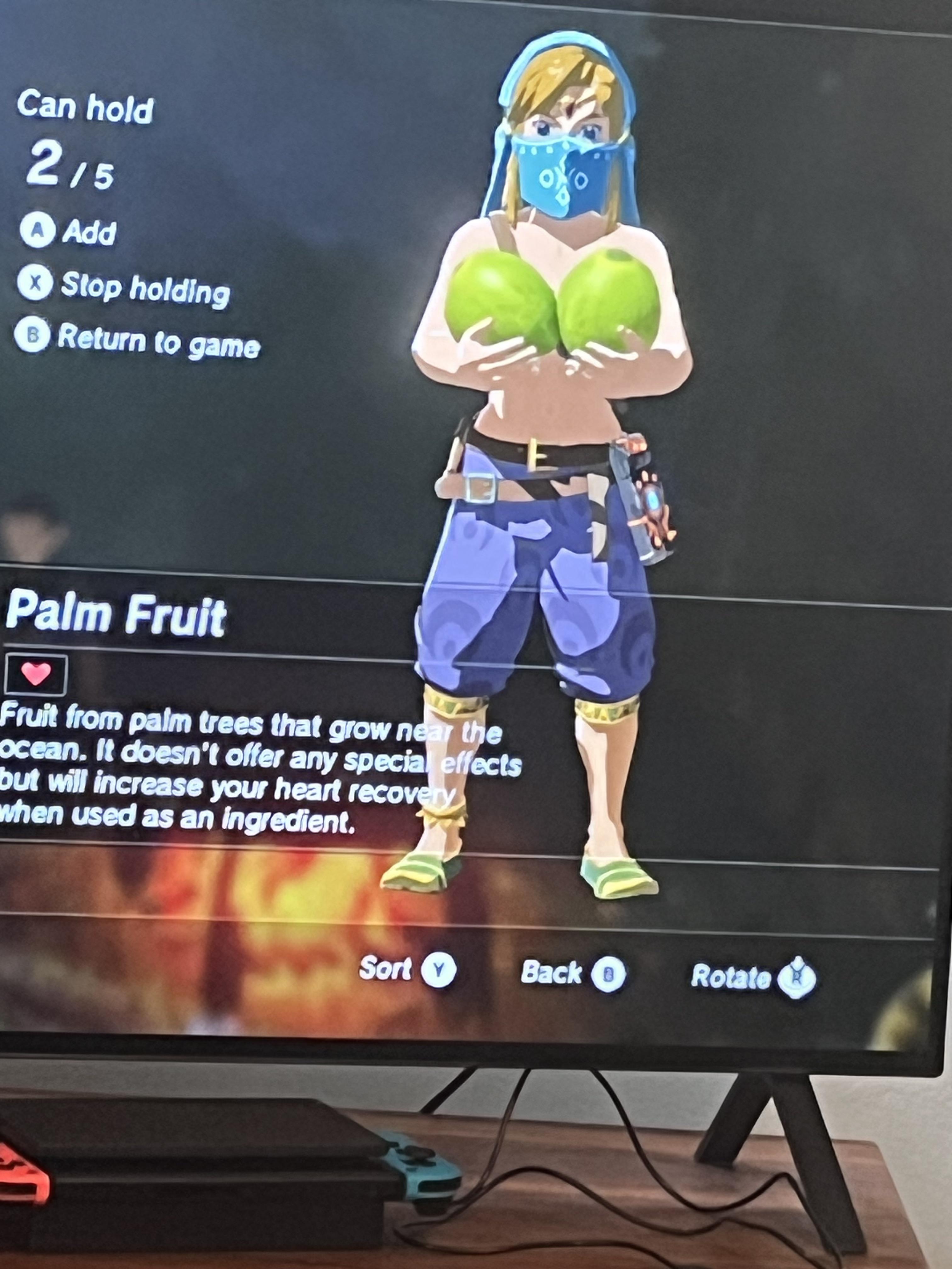 Nice coconuts ya got there, Link r/botw