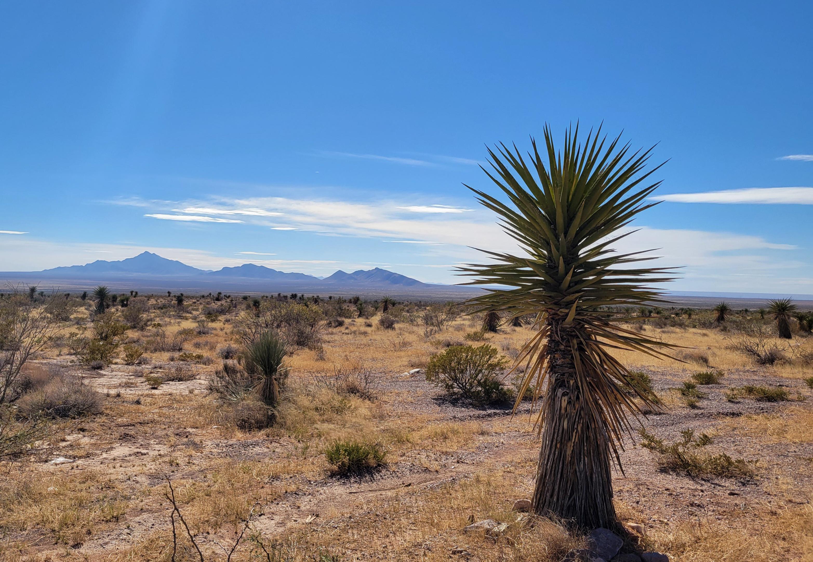 [OC] Doña Ana, New Mexico, USA, 09 DEC 2021 [3130x2166] r/EarthPorn