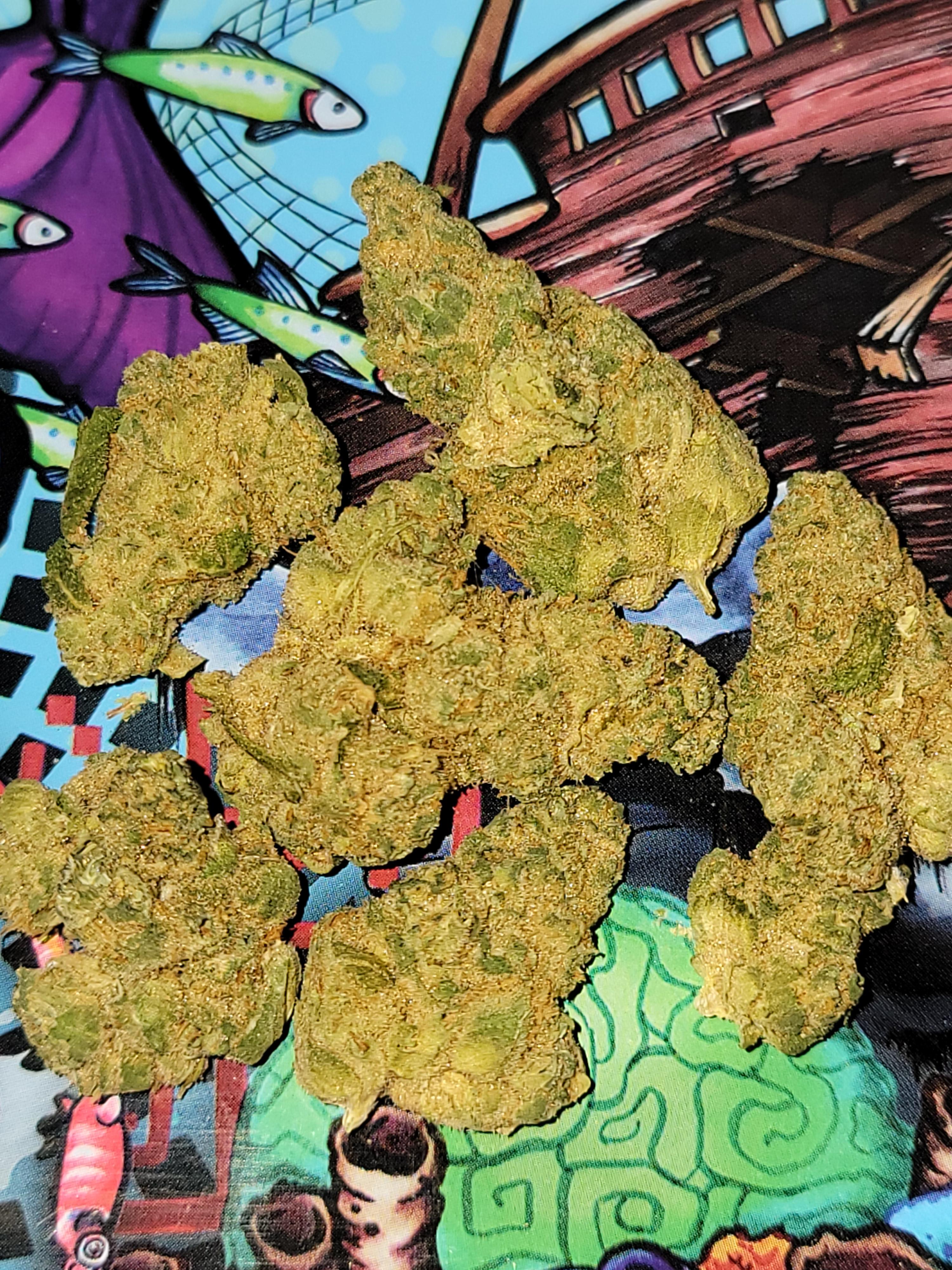 "Bittersweet" Gmo x Mai tai 4. Super gassy strain. r/trees