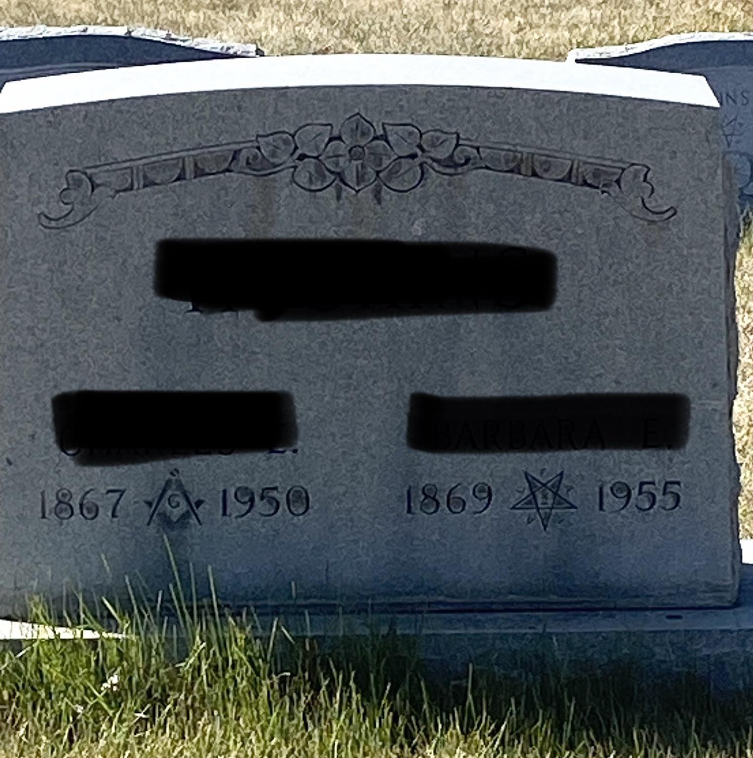 Can anyone tell me what these symbols are/mean in between the dates