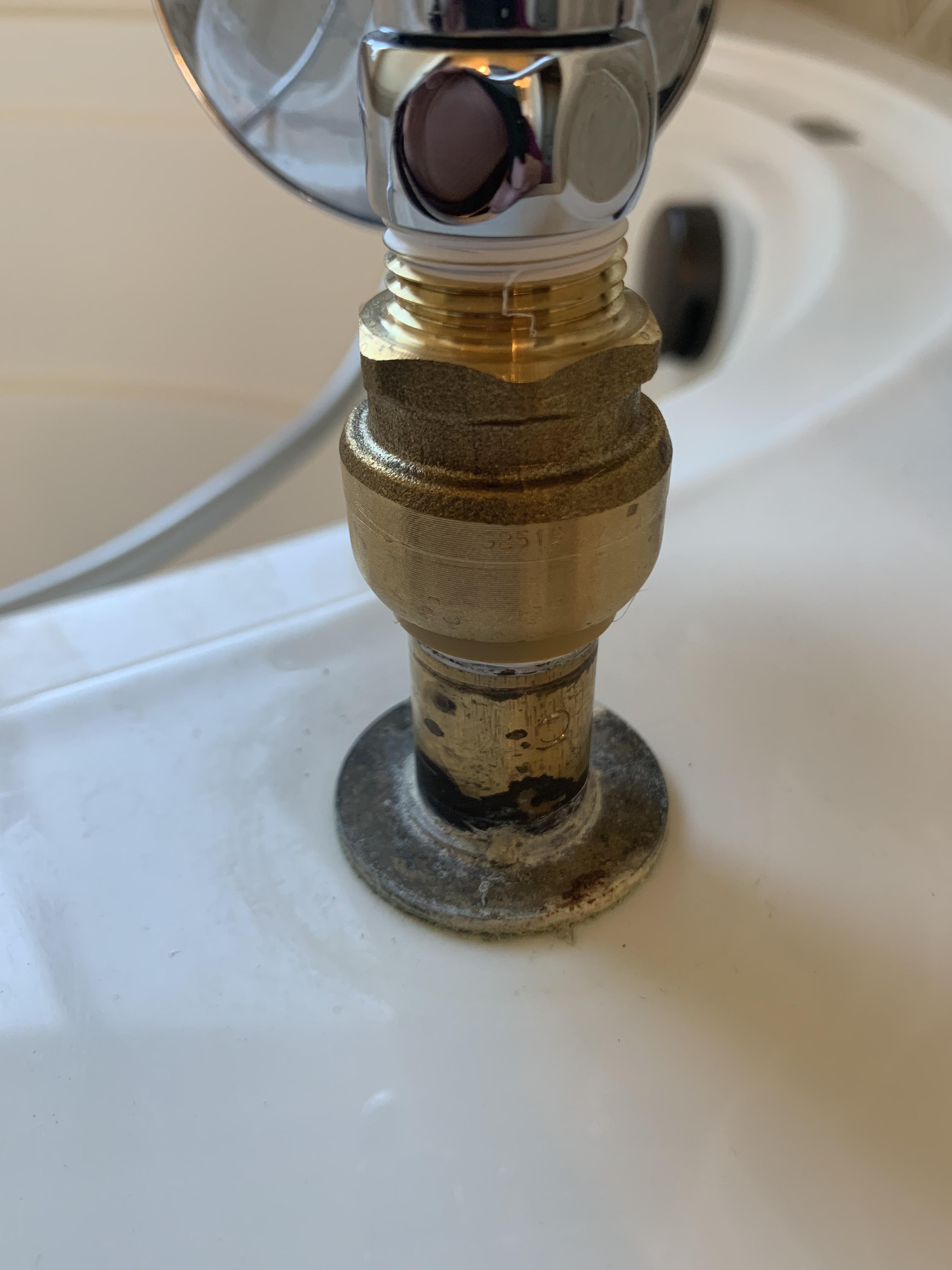 Converting tub stub out to dog shower r/Plumbing