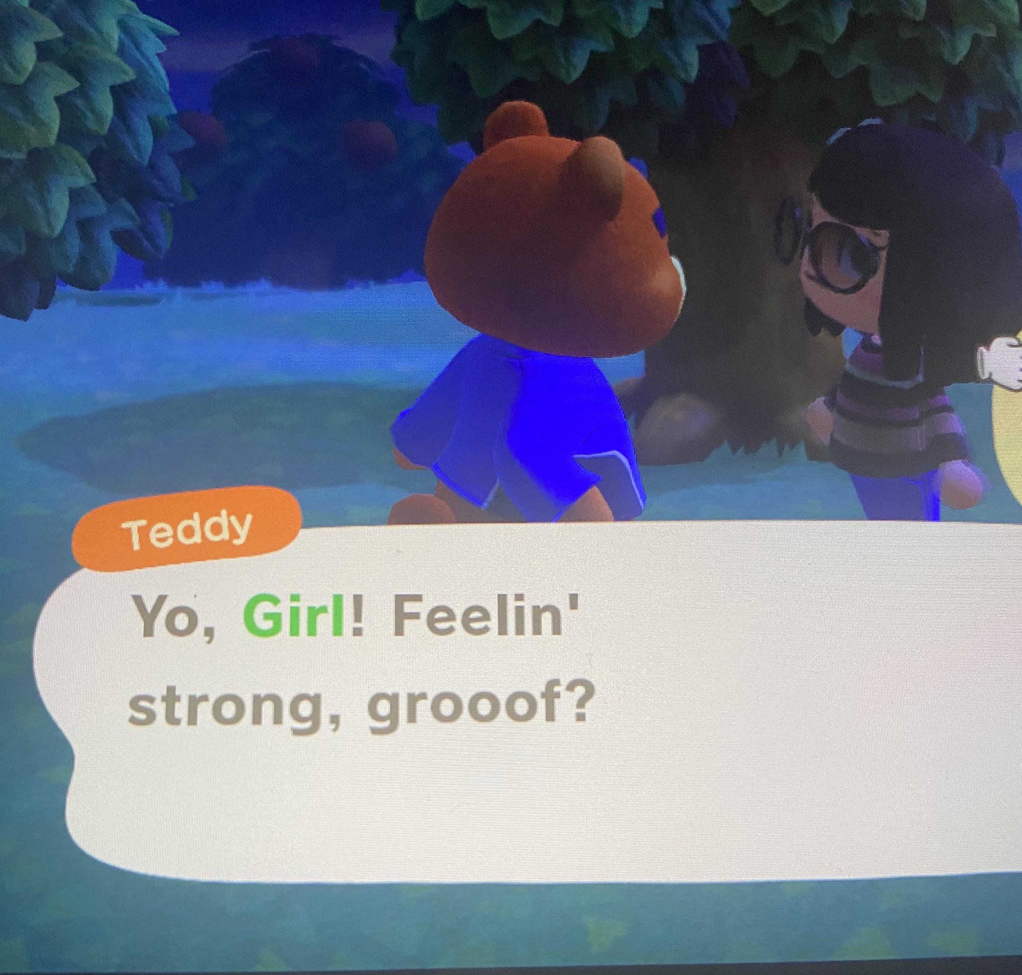 So I was playing animal crossing and Teddy asked me what I wanted my