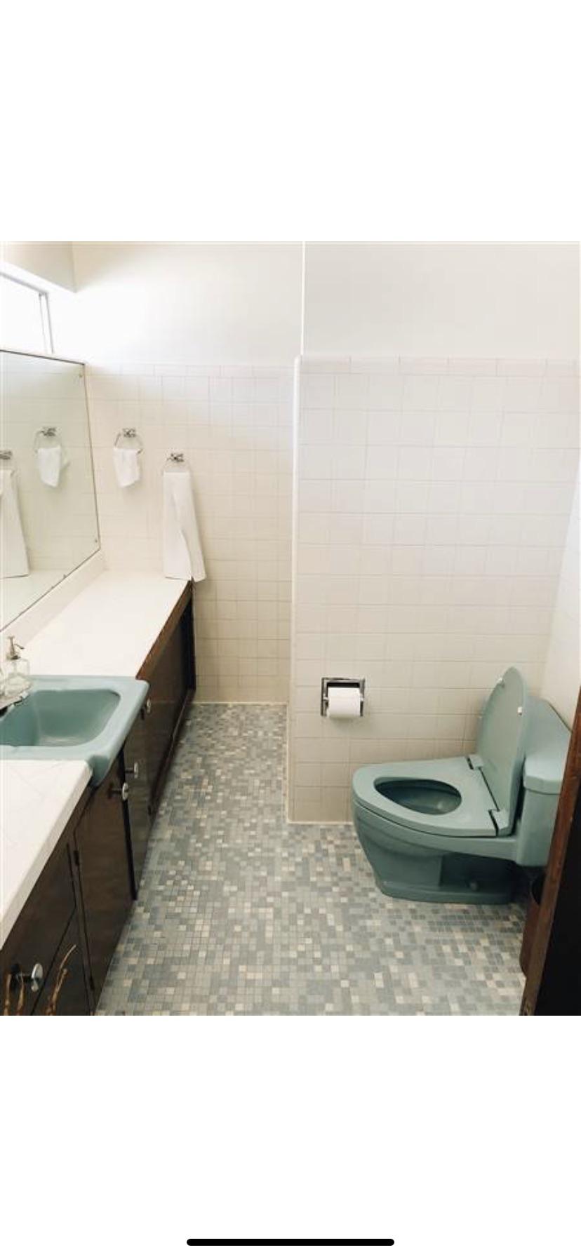 Original 1960 toilet doesn’t flush well (we call this a liquid only