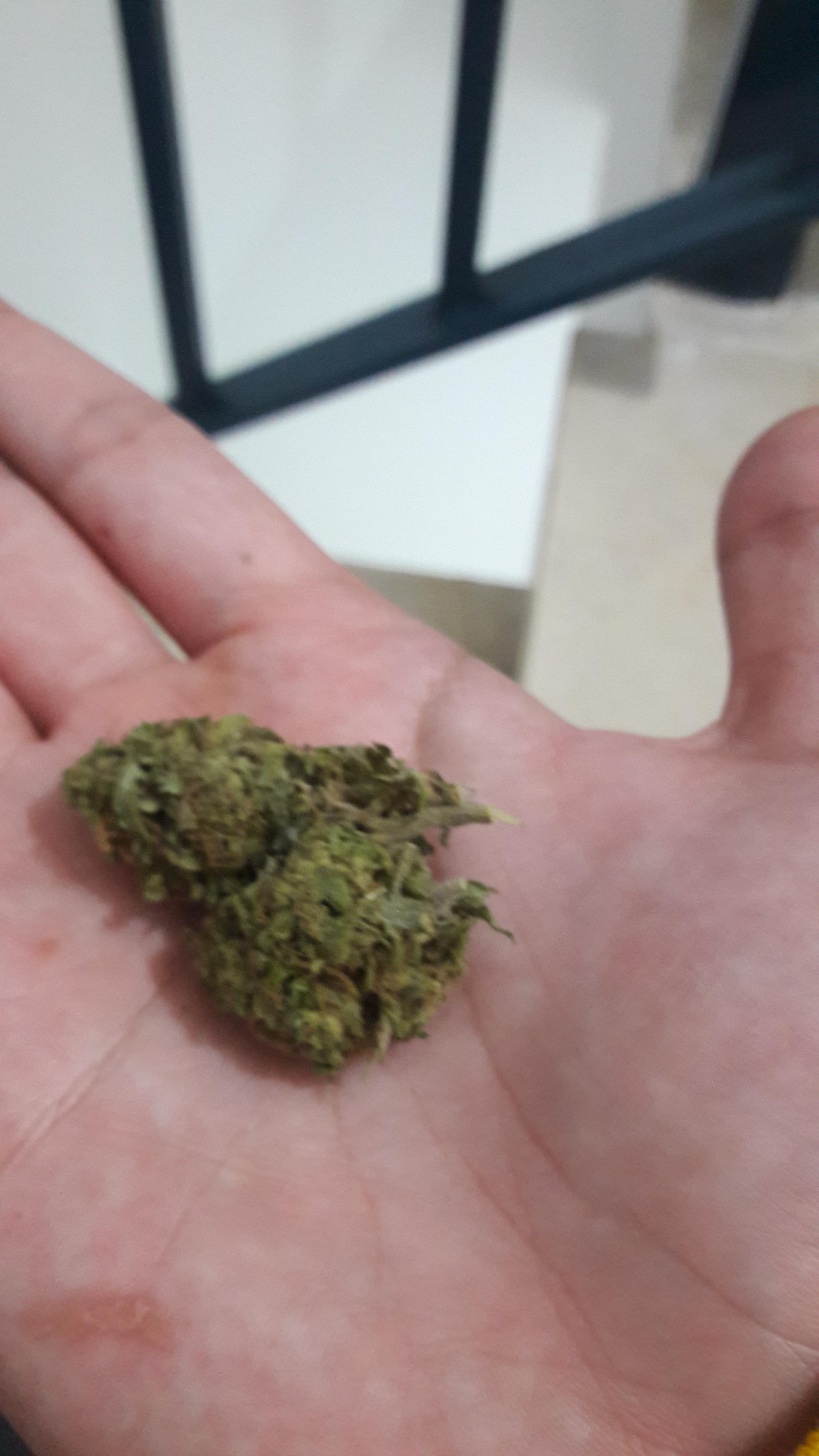 San Fernando Valley r/weed