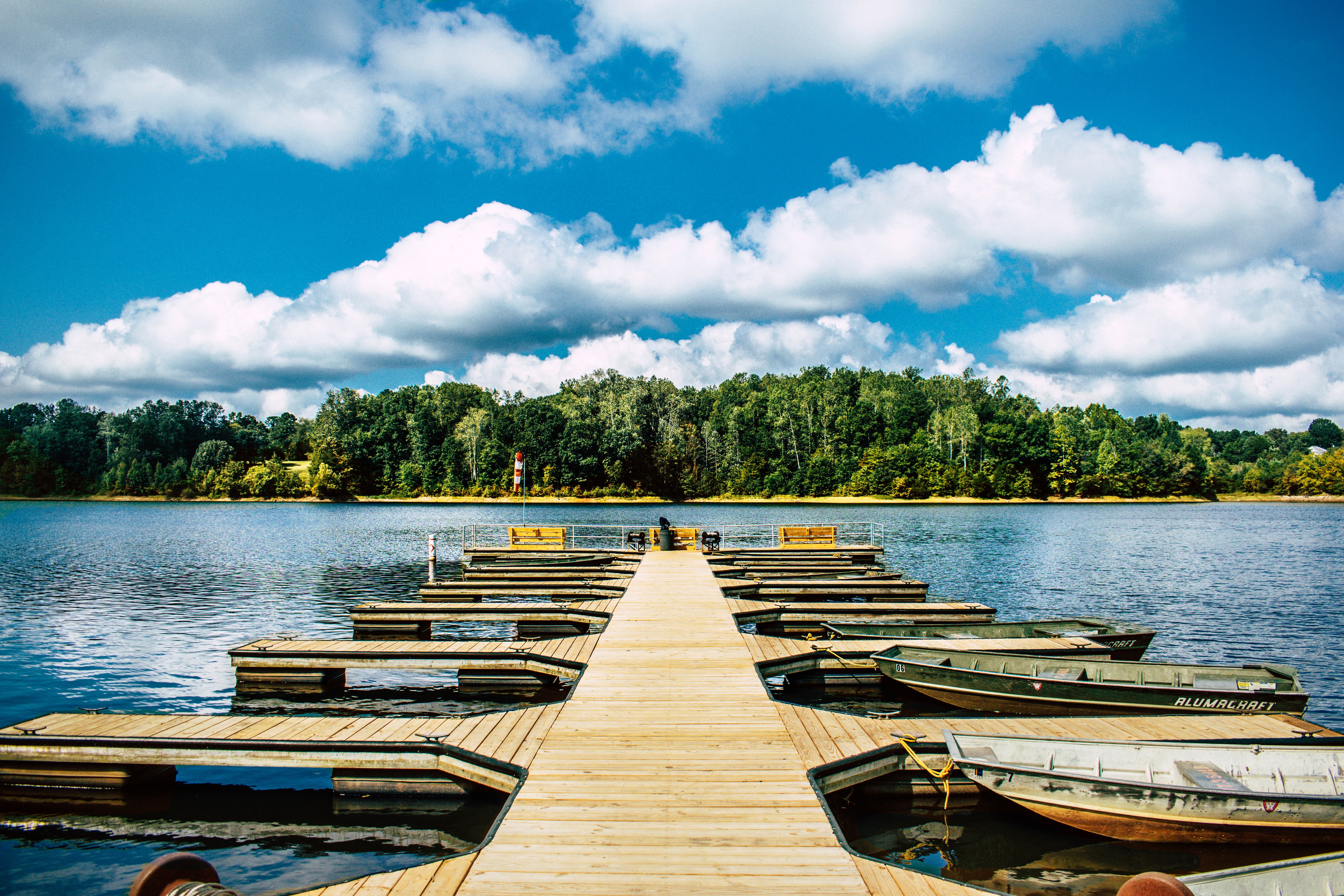 Little River Lake, Durham, North Carolina (Photo credit to Mikey B) r/MostBeautiful