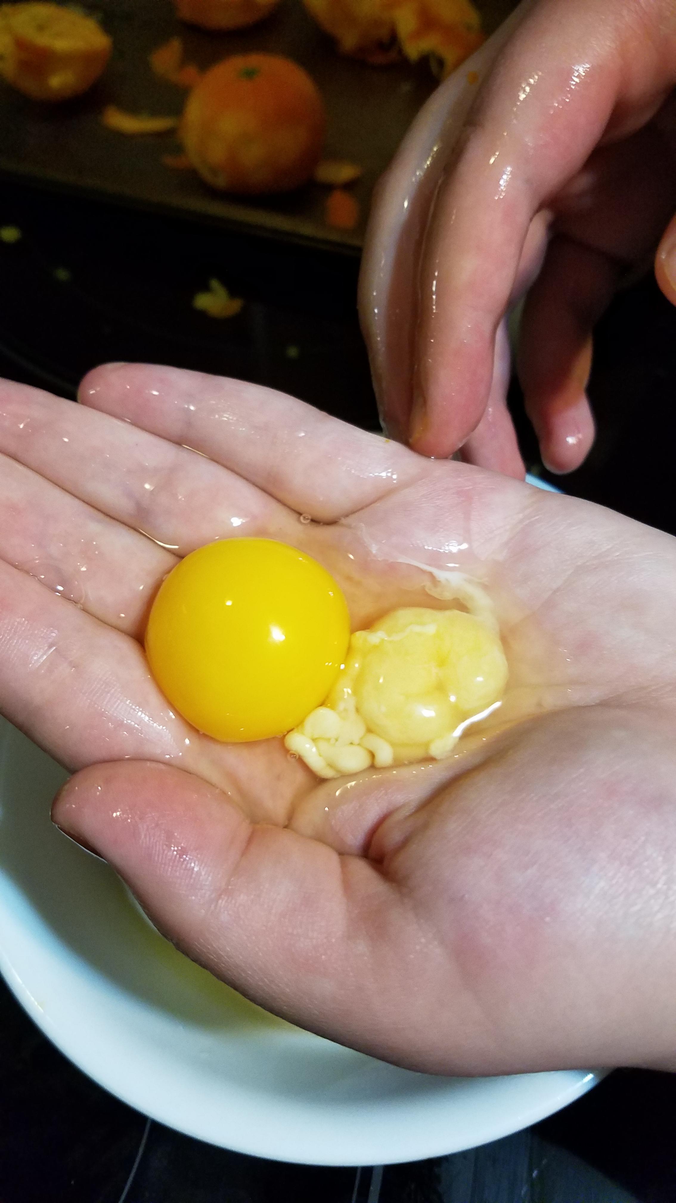 Huge mass on the chalaza (?) of this egg. Not a fetus/embryo, it was