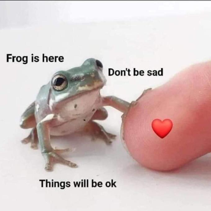 Stay safe with frog! r/memes