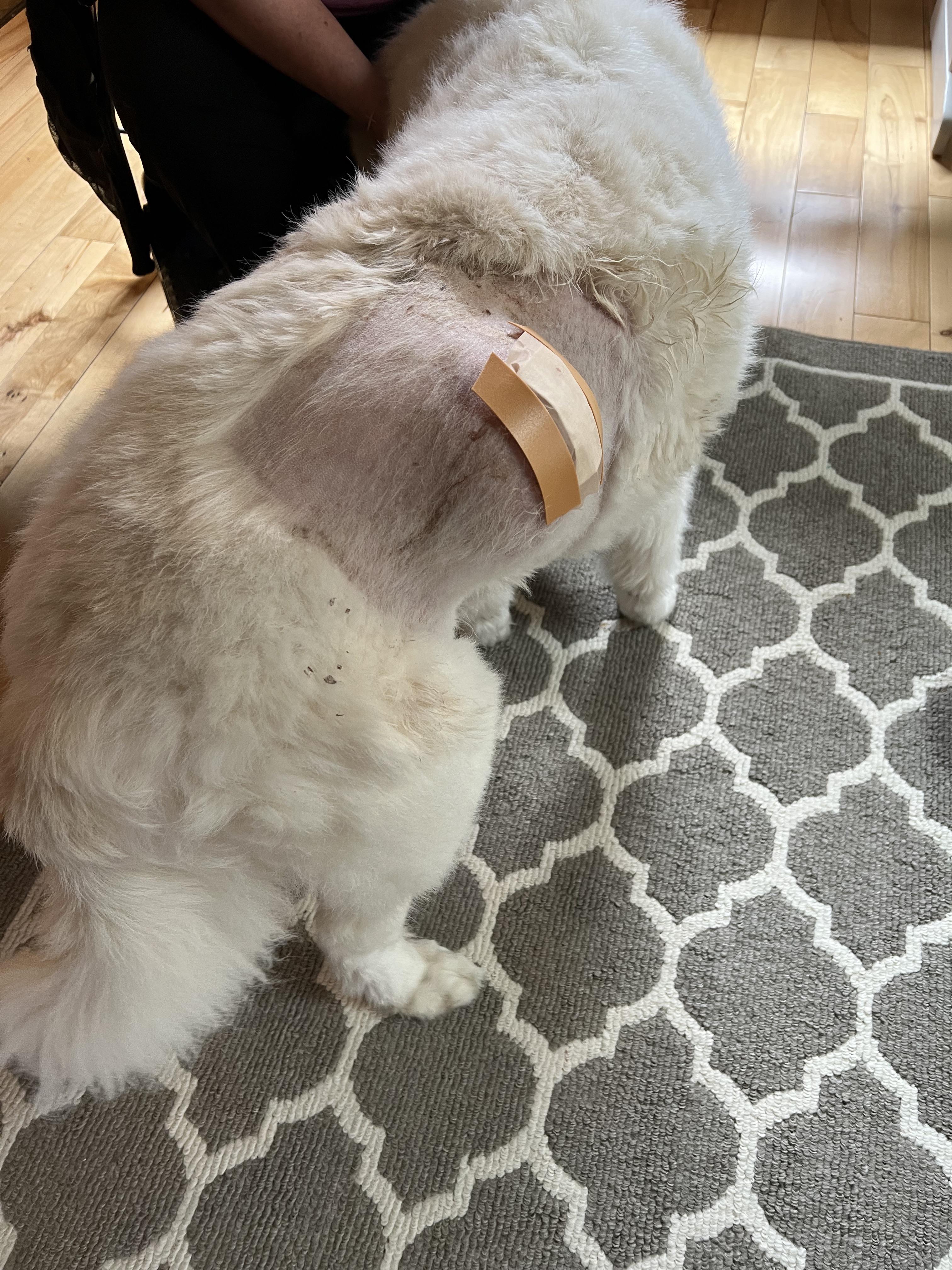 Does anyone have for Spindle cell treatment