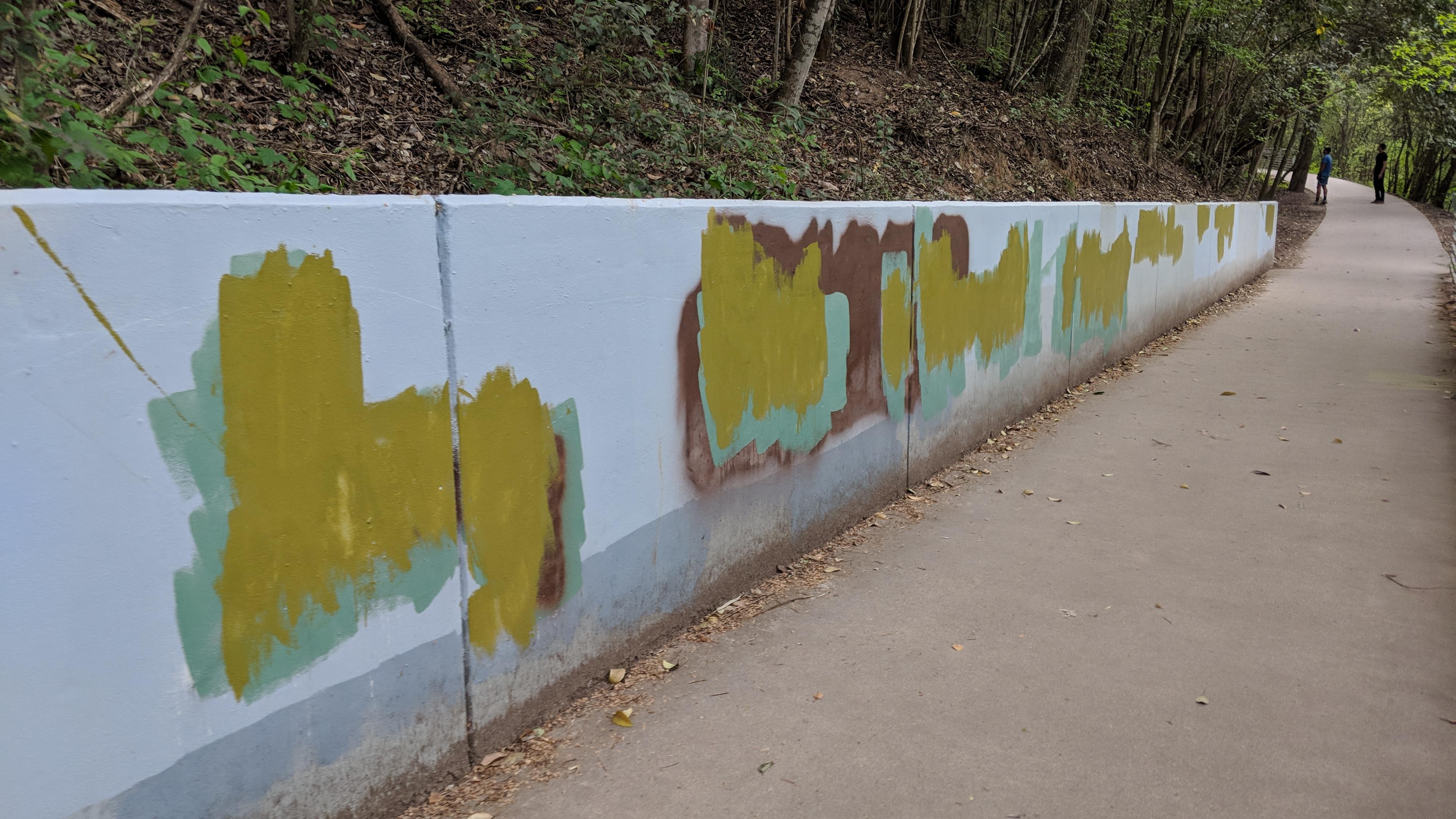 Can some explain why the city keeps painting over graffiti with their