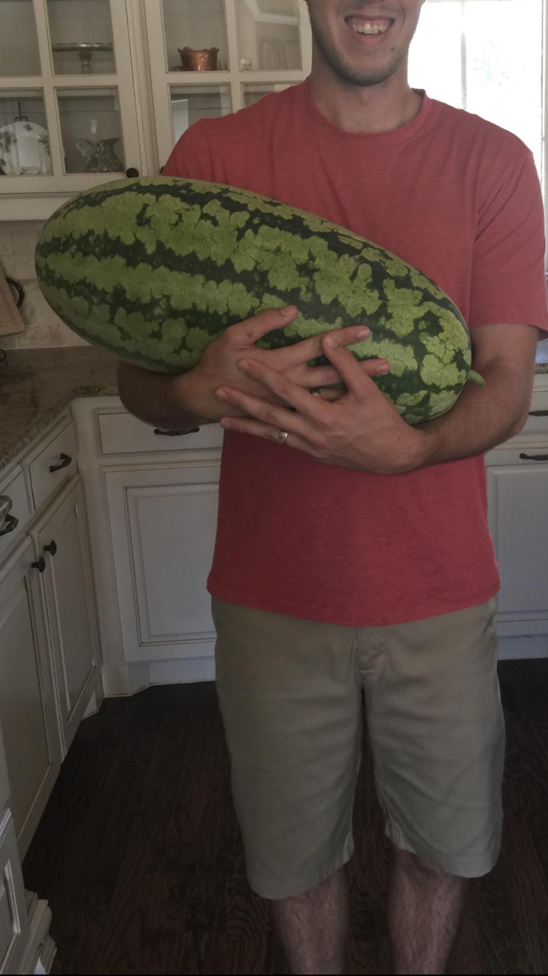 Texas watermelons are still growing strong late in the season r/gardening