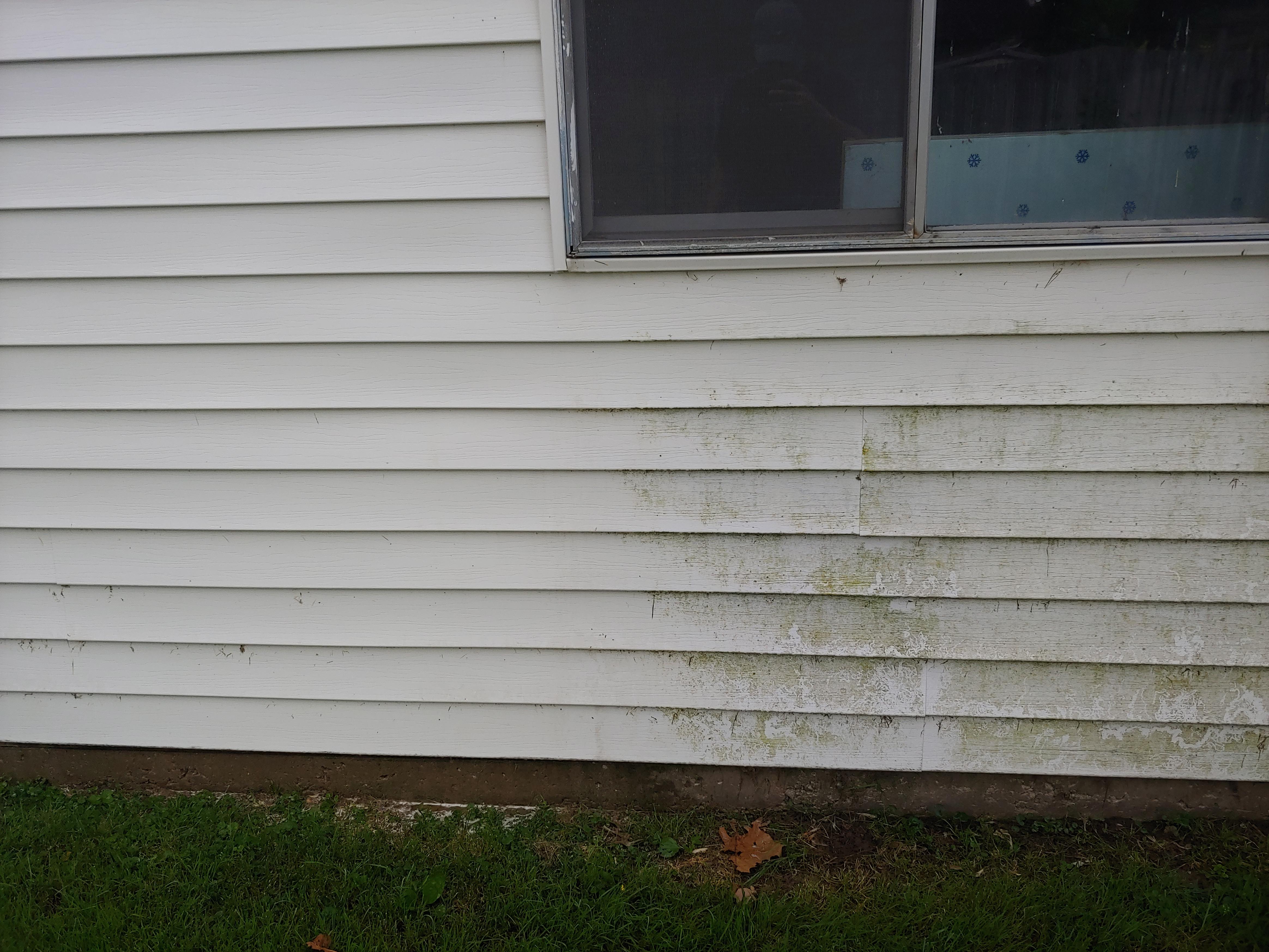 PSA Don't be afraid to use bleach to clean siding! No pressure or rinse used on left. r