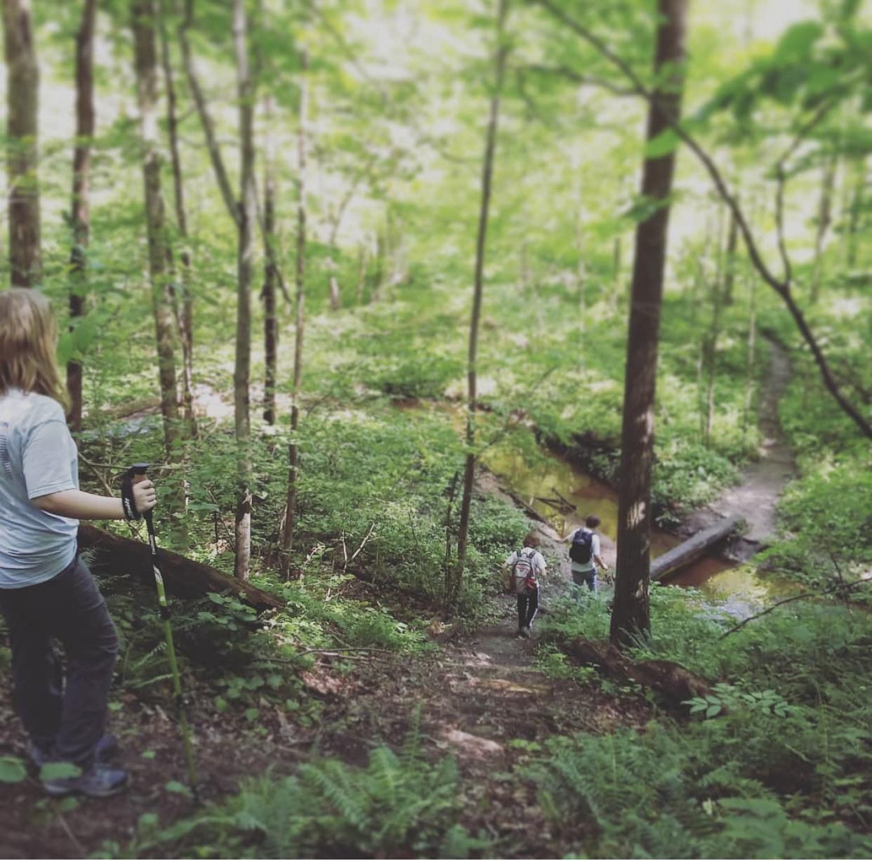North Country Trail, Pittsford, MI r/CampAndHikeMichigan