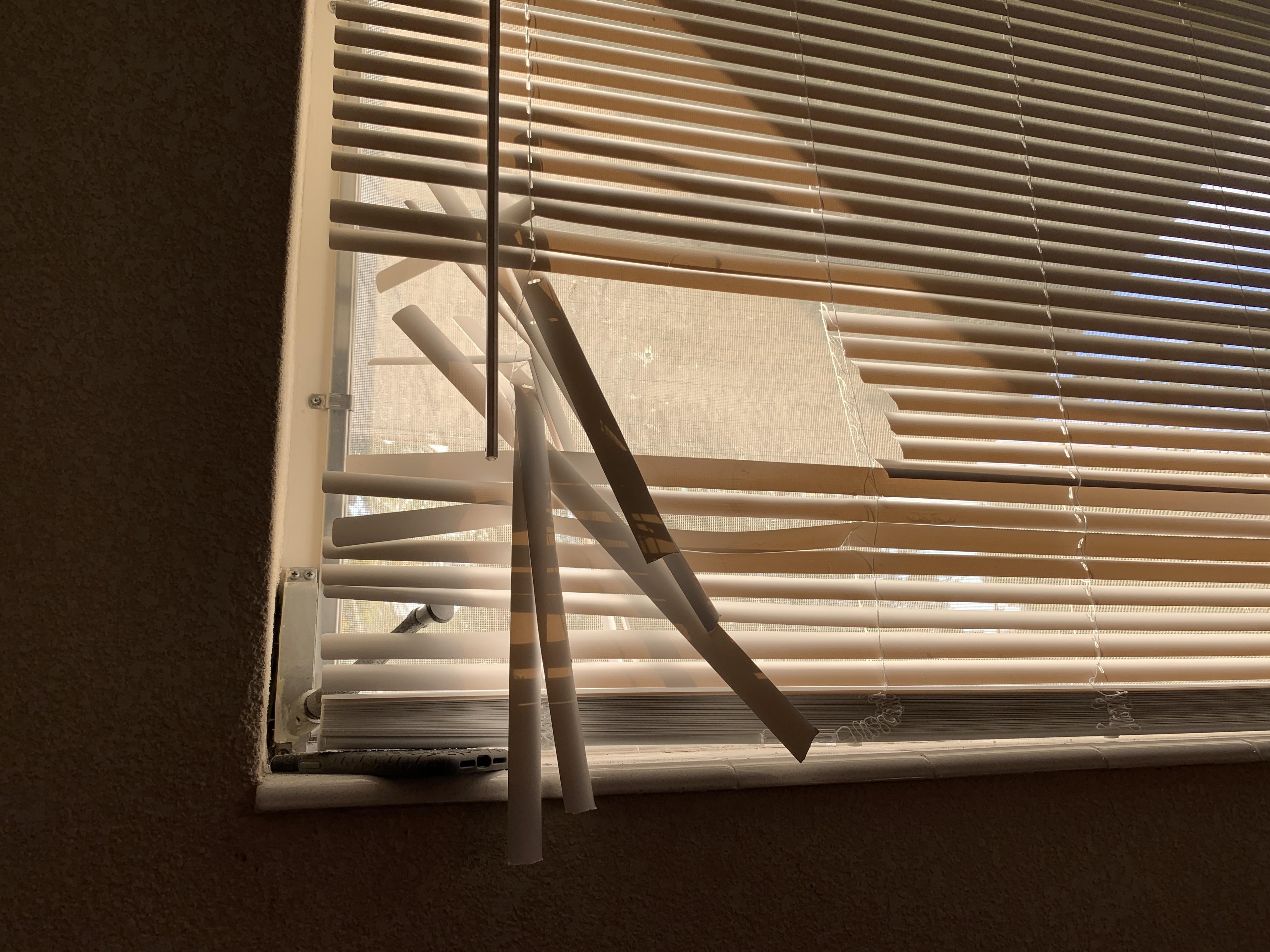I literally installed these blinds today : r/Wellthatsucks