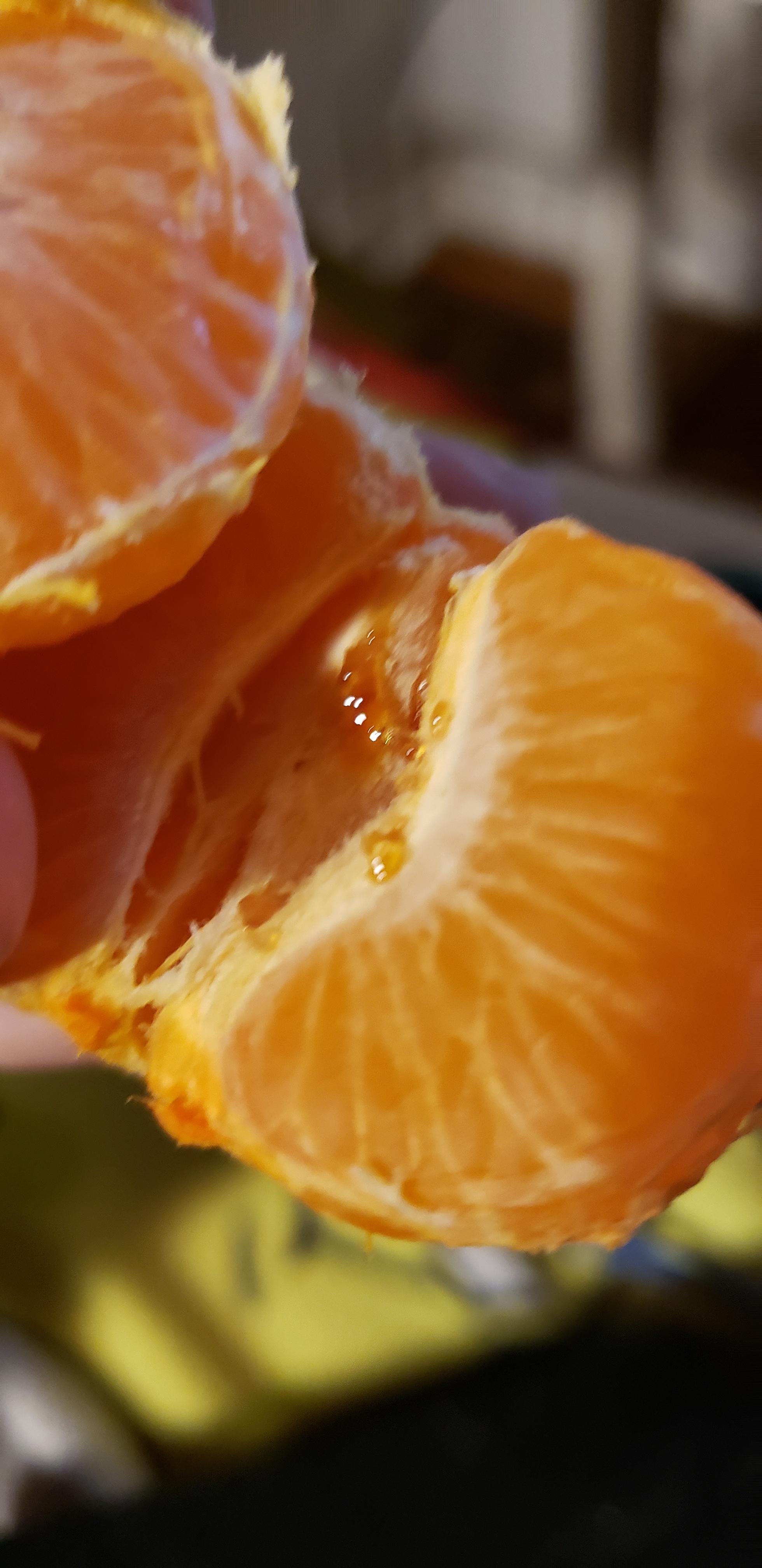 Just opened the orange and this sap looking stuff was inside. Is it