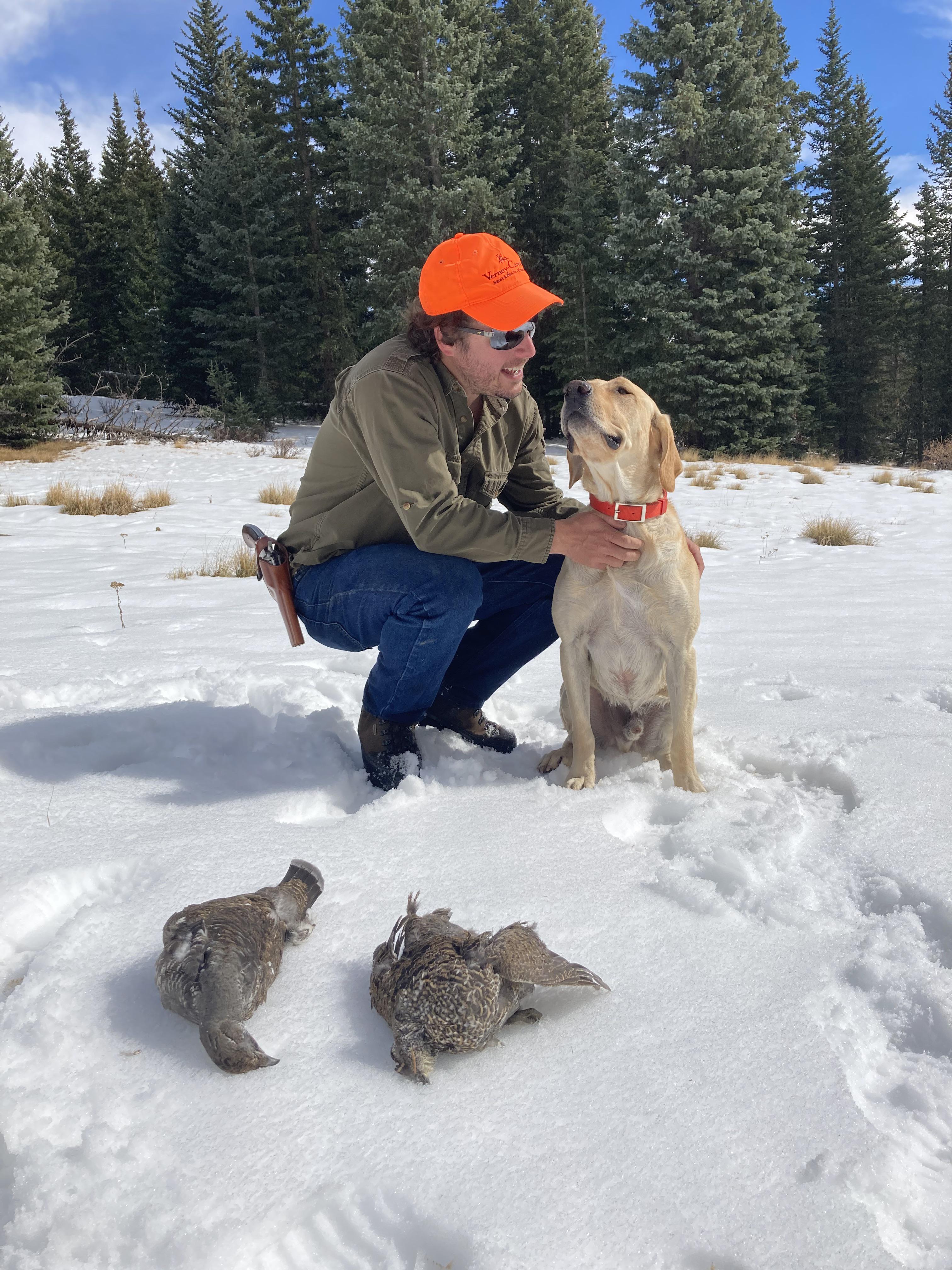 Great day in the Alpine chasing Grouse! r/Hunting