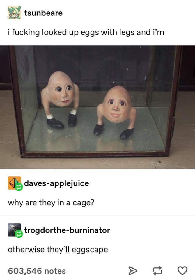 Eggs on legs r/tumblr