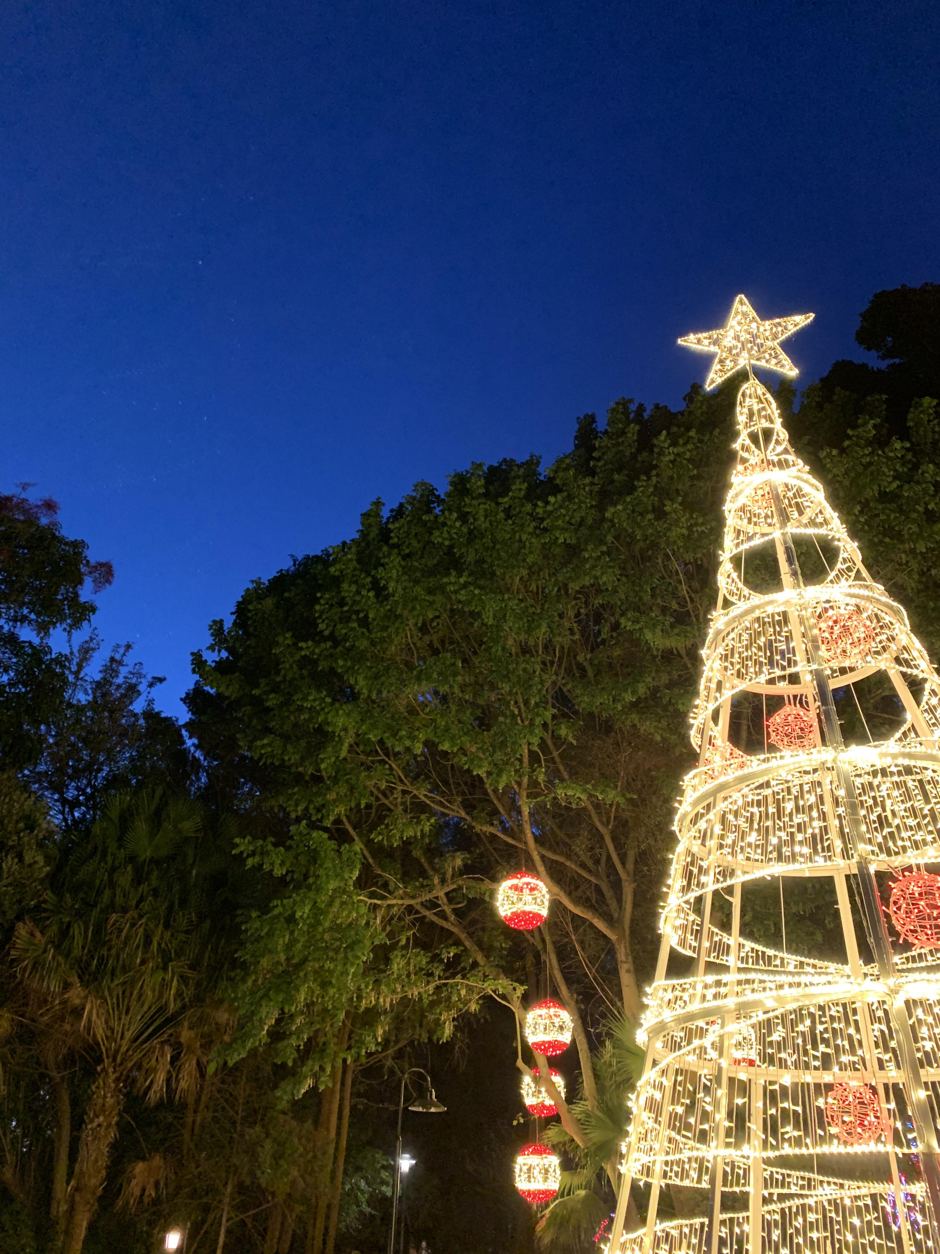 Christmas lights. Western Australia. r/iPhoneXR