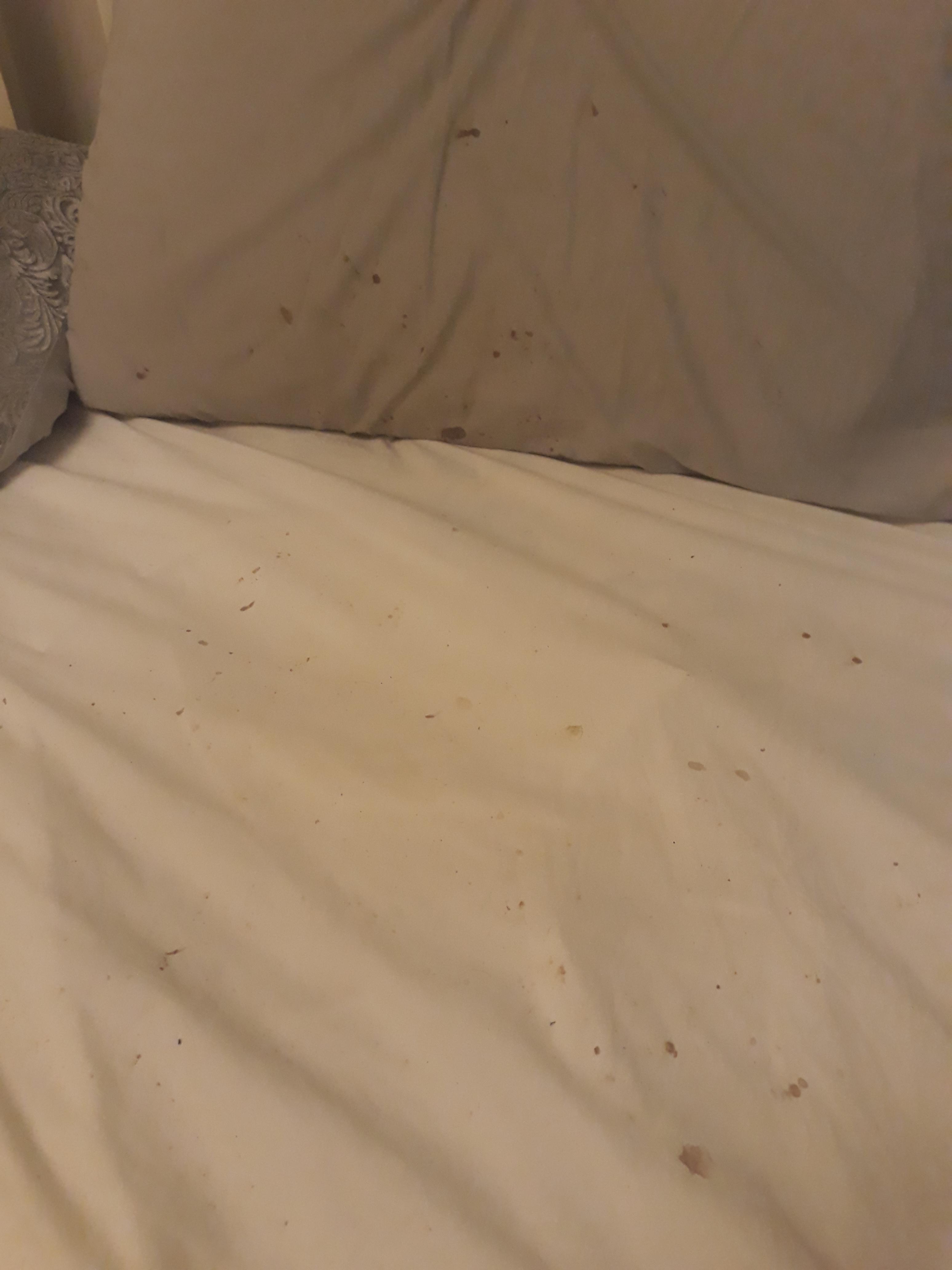 the reality of eczema sufferers, it's not just a skin condition. r/eczema