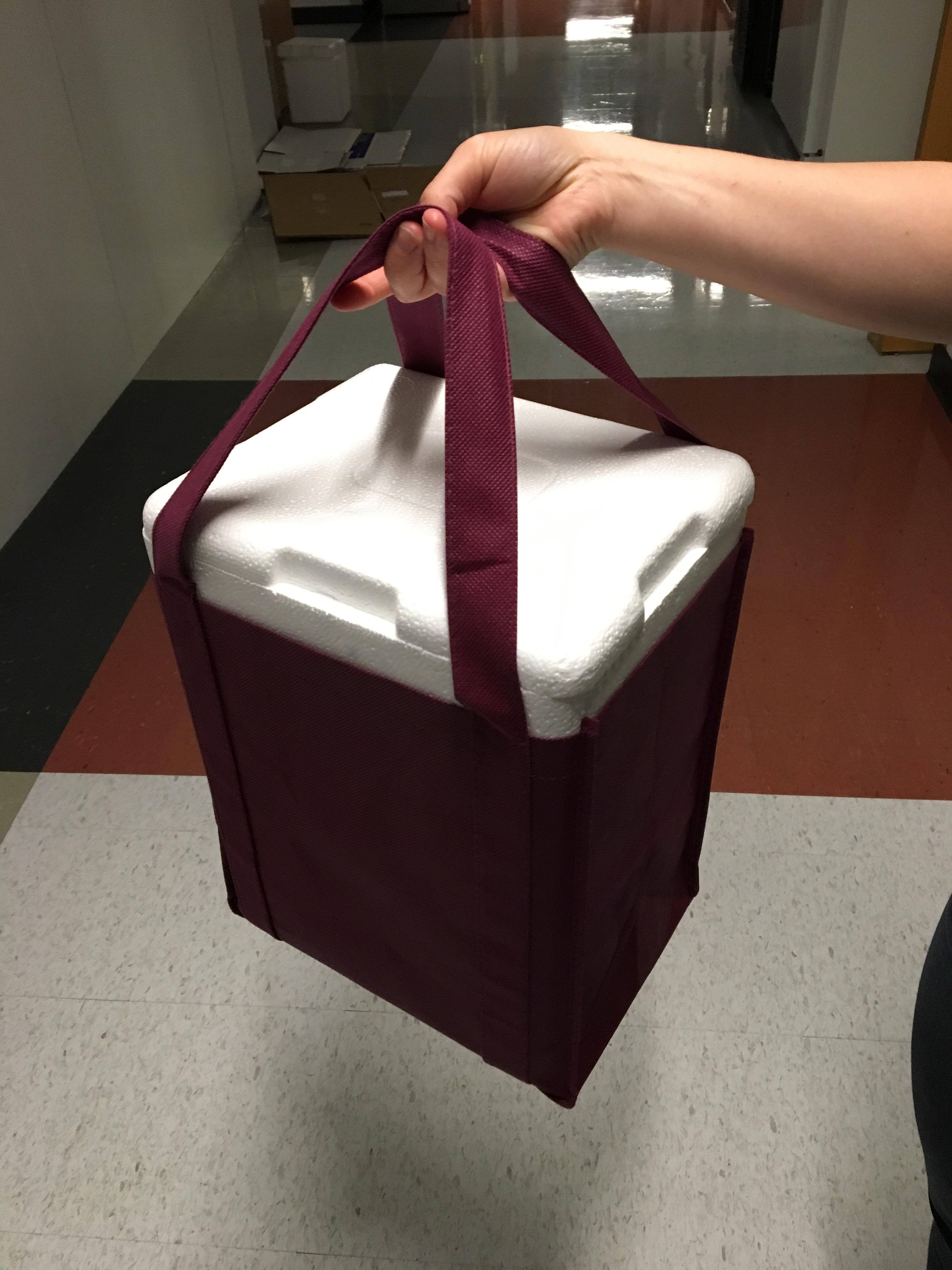 This dry ice box and bag were destined for each other r/Perfectfit