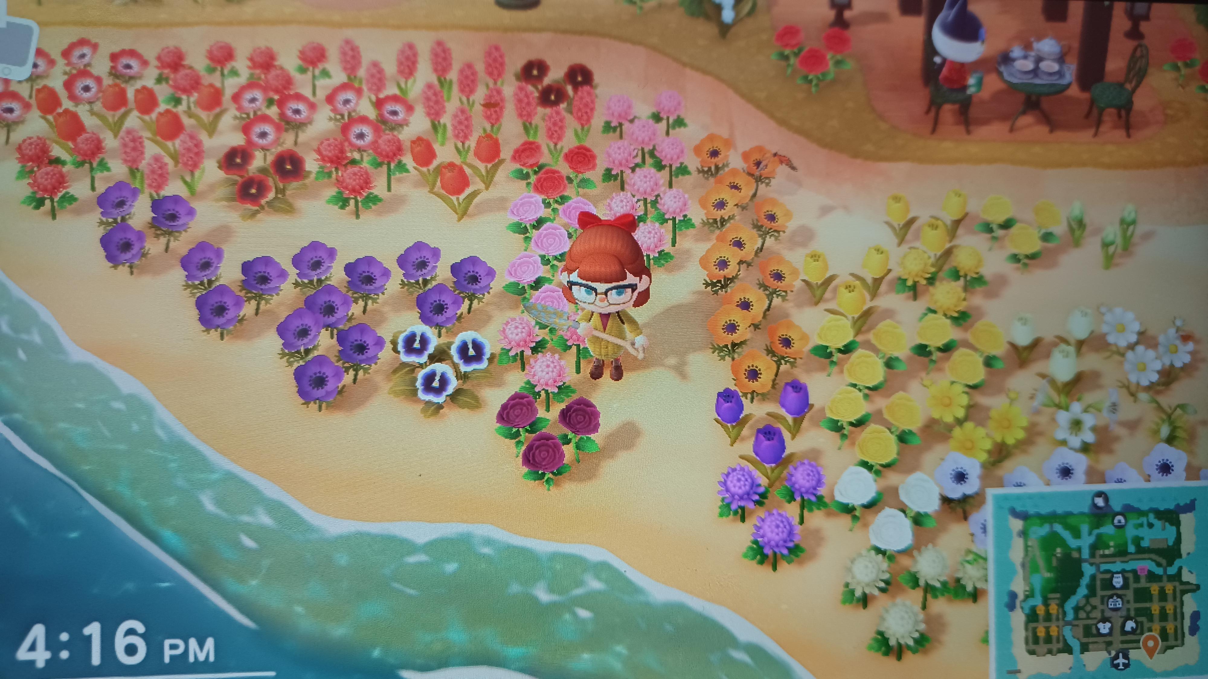 Anyone Want Flowers? r/acnh